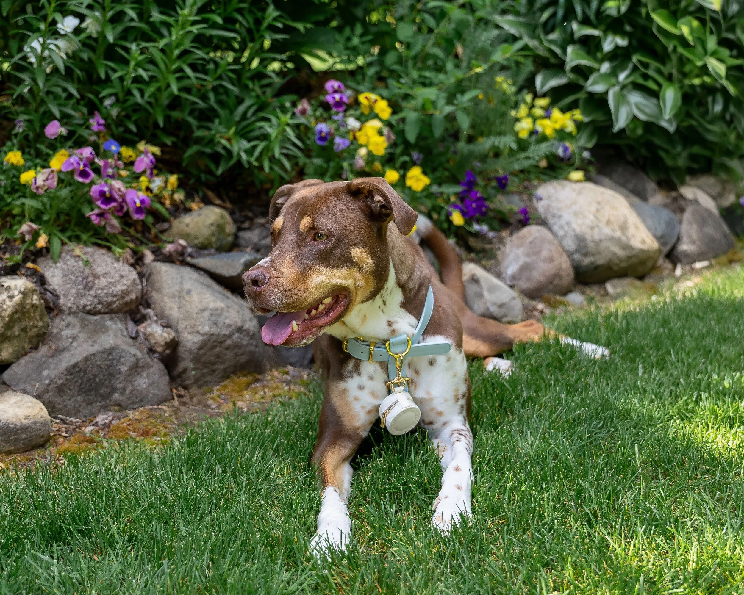 Photography By Jill Emmer -438.jpg