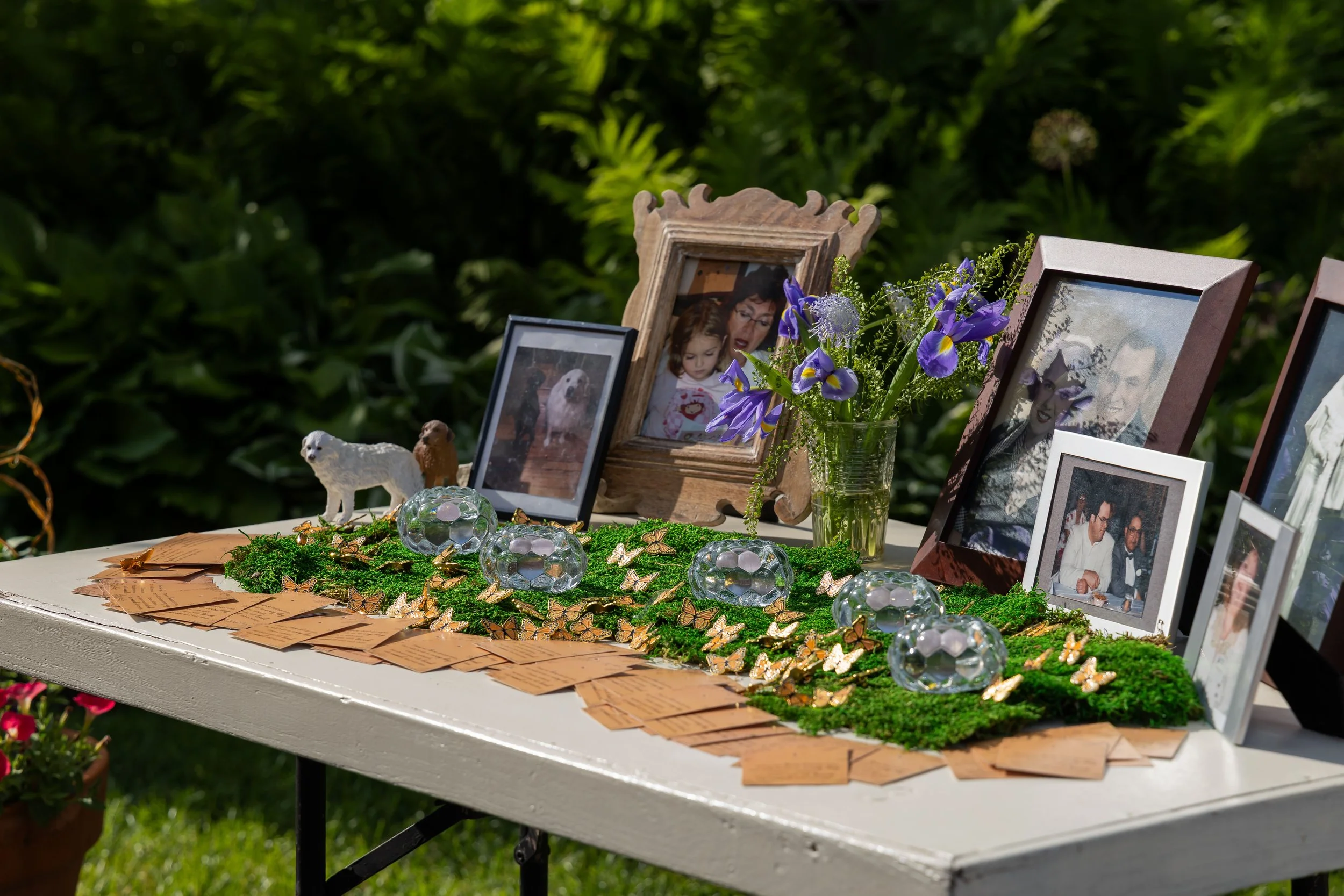 Photography By Jill Emmer -467.jpg