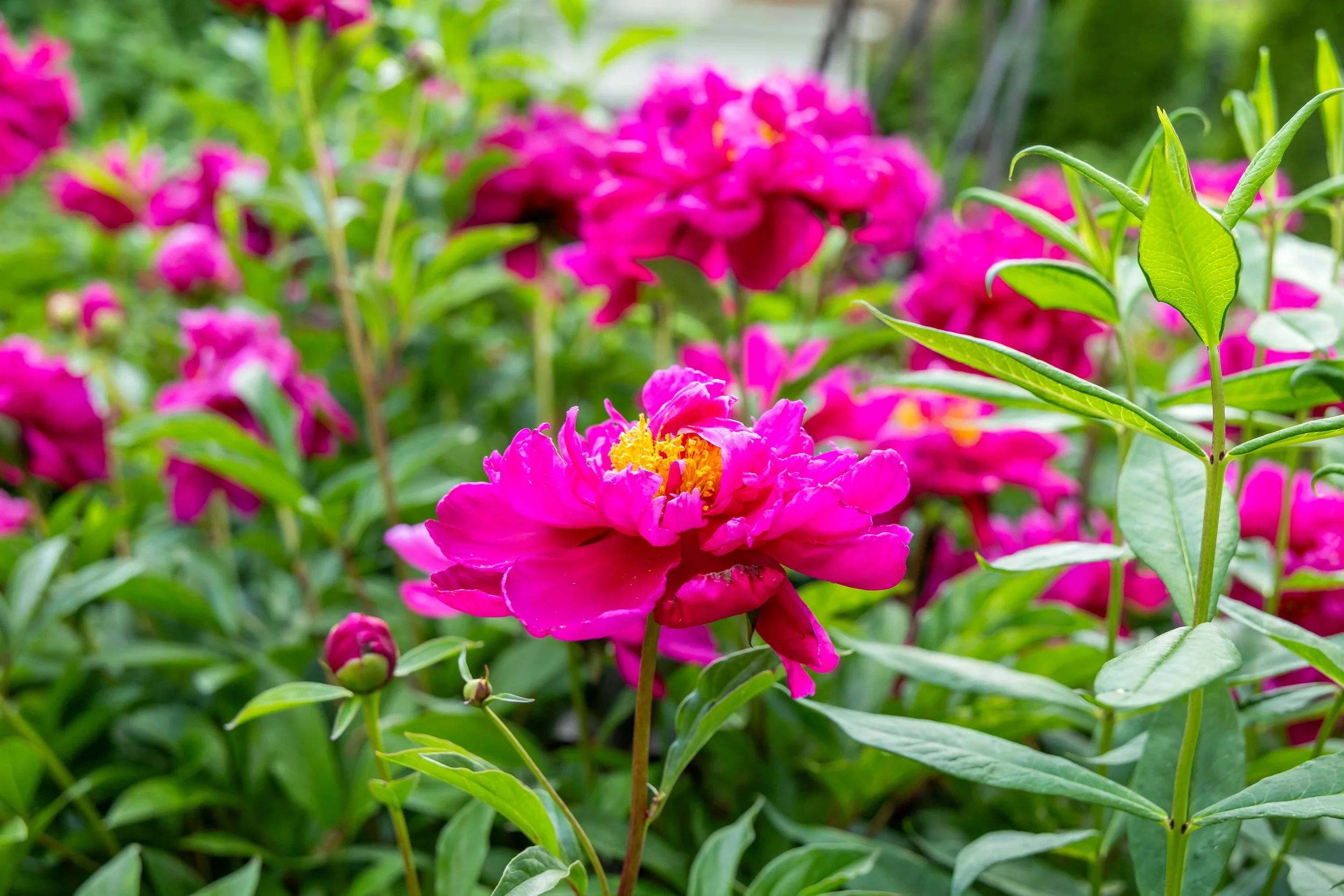 Photography By Jill Emmer -491.jpg