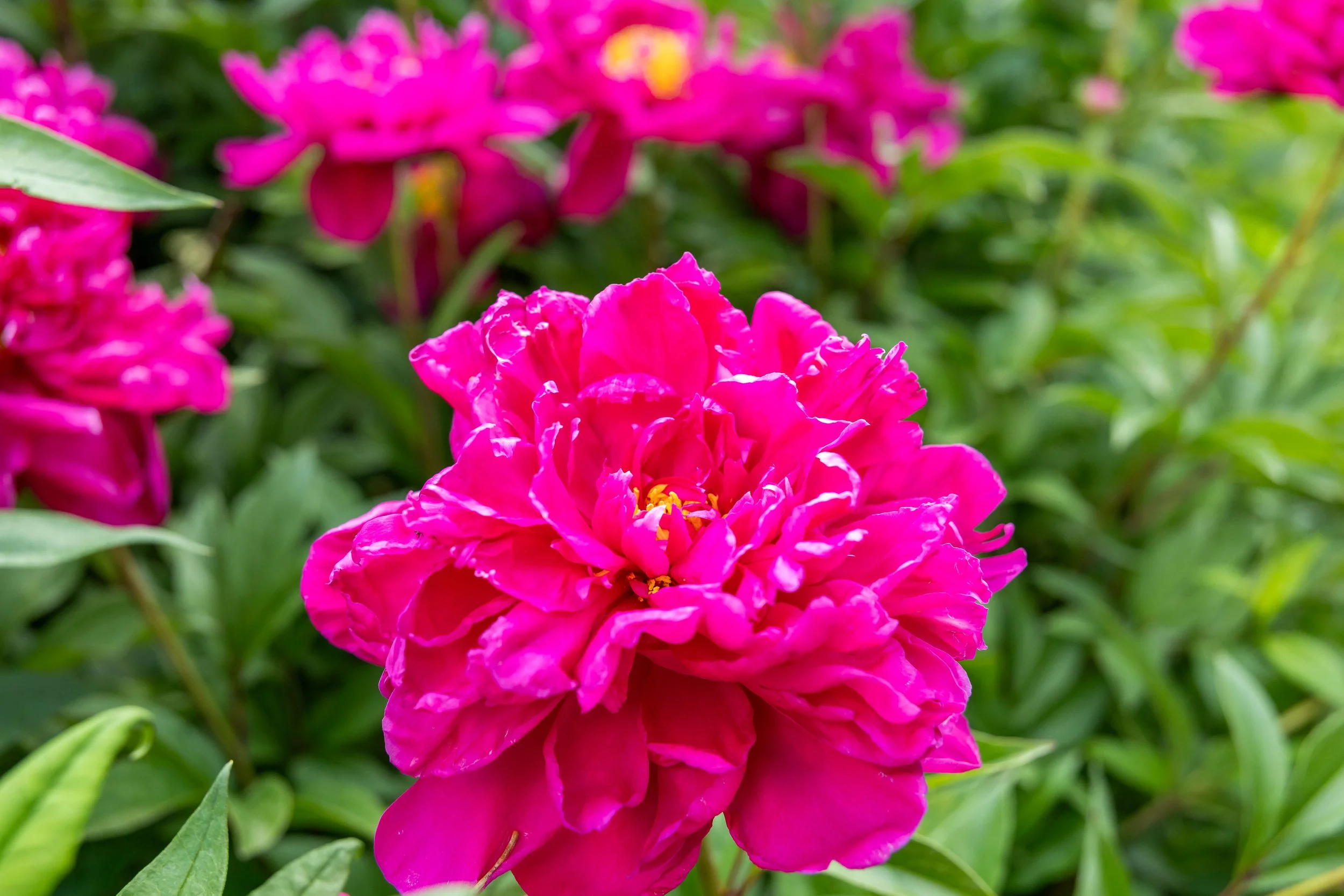 Photography By Jill Emmer -493.jpg
