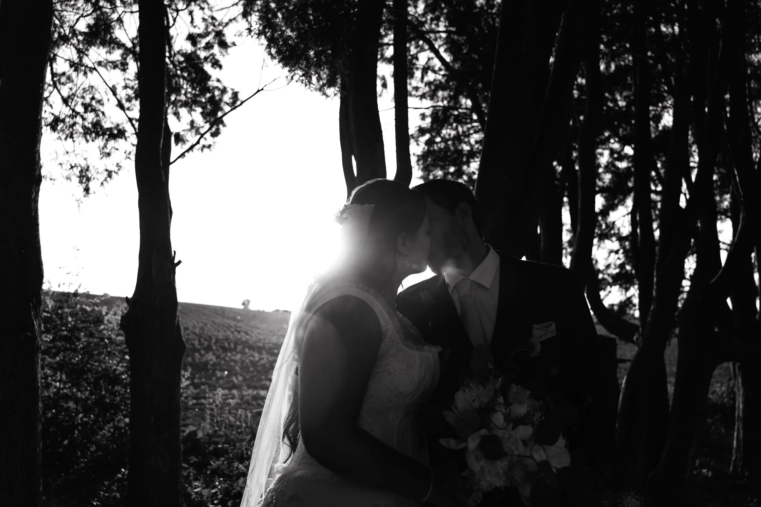 Photography By Jill Emmer -787-2.jpg