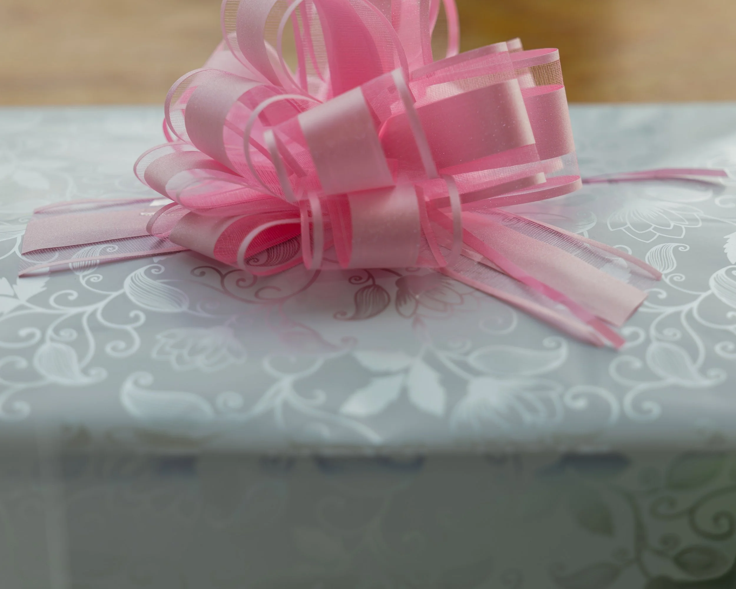 LOW RES Photography By Jill Emmer -268.jpg