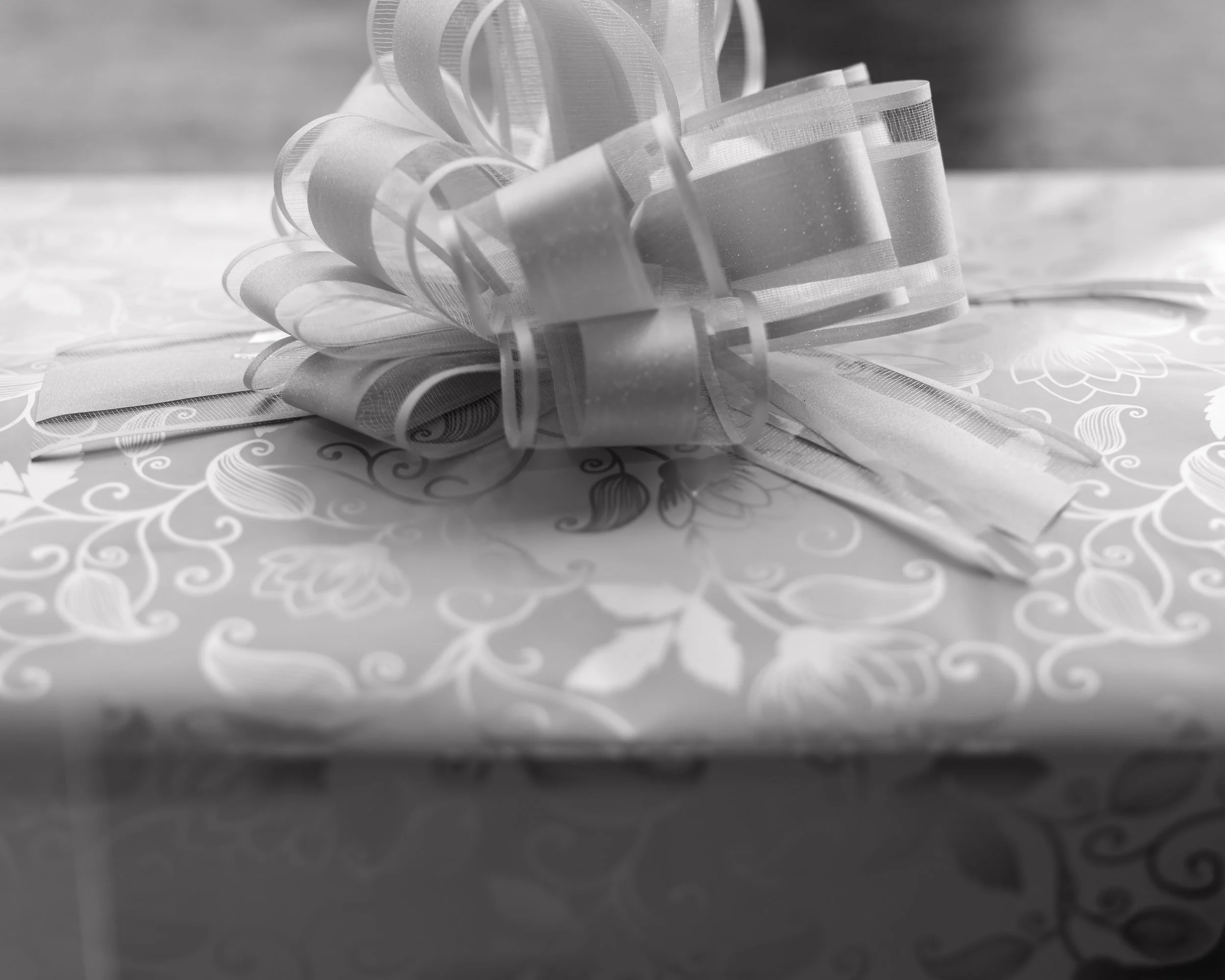LOW RES Photography By Jill Emmer -269.jpg