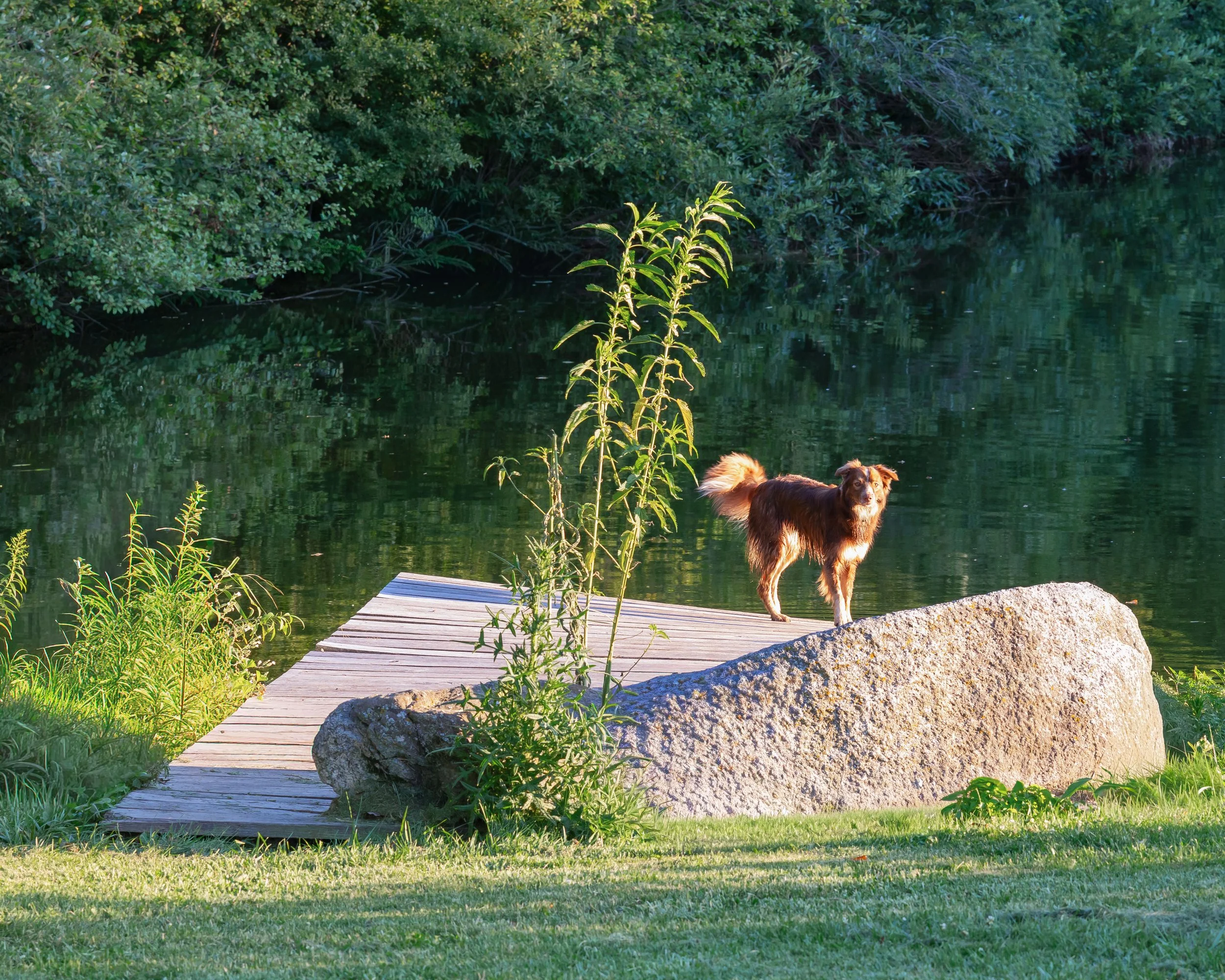 LOW RESPhotography By JIll Emmer-57.jpg