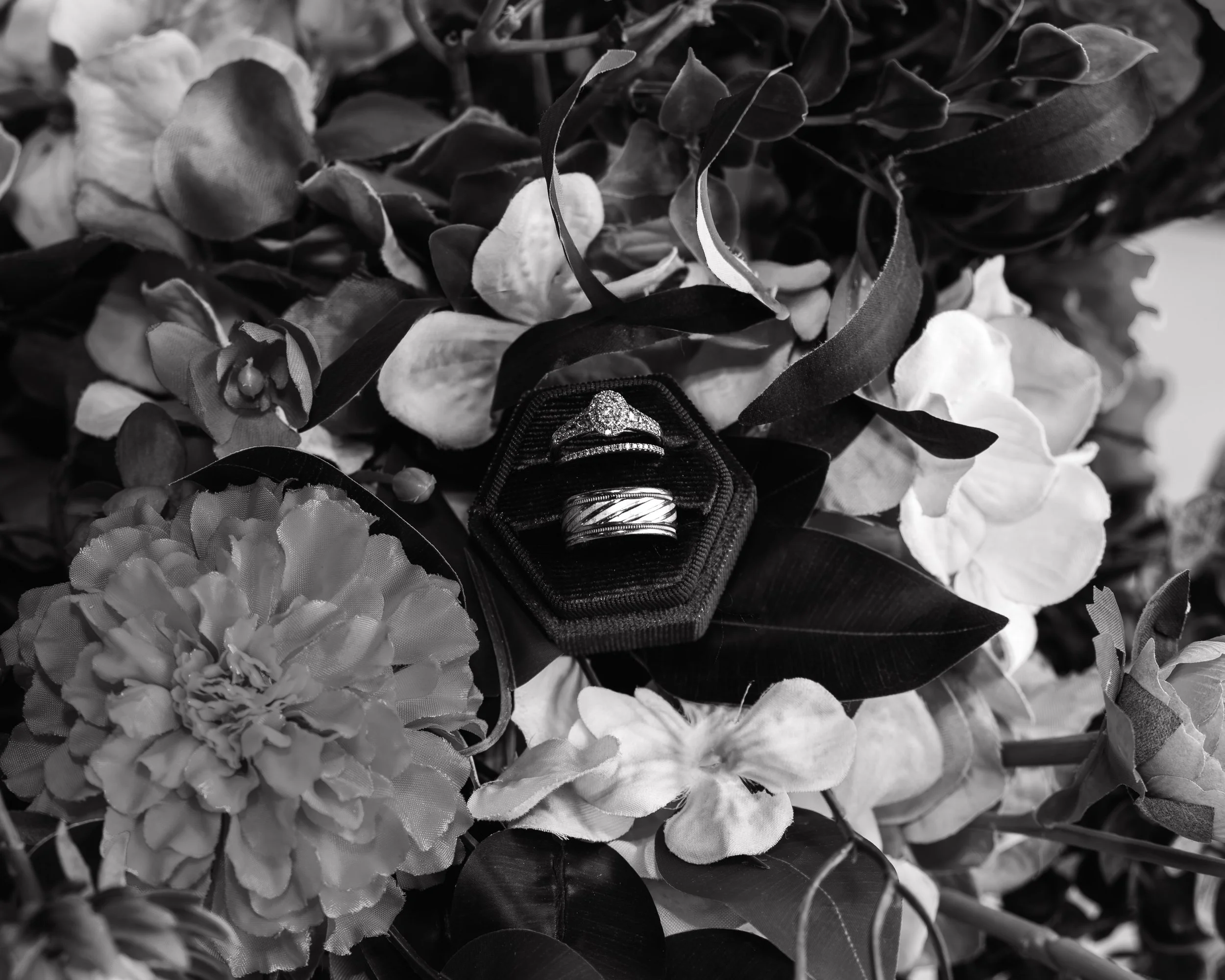 LOW RES Photography By Jill Emmer-6.jpg