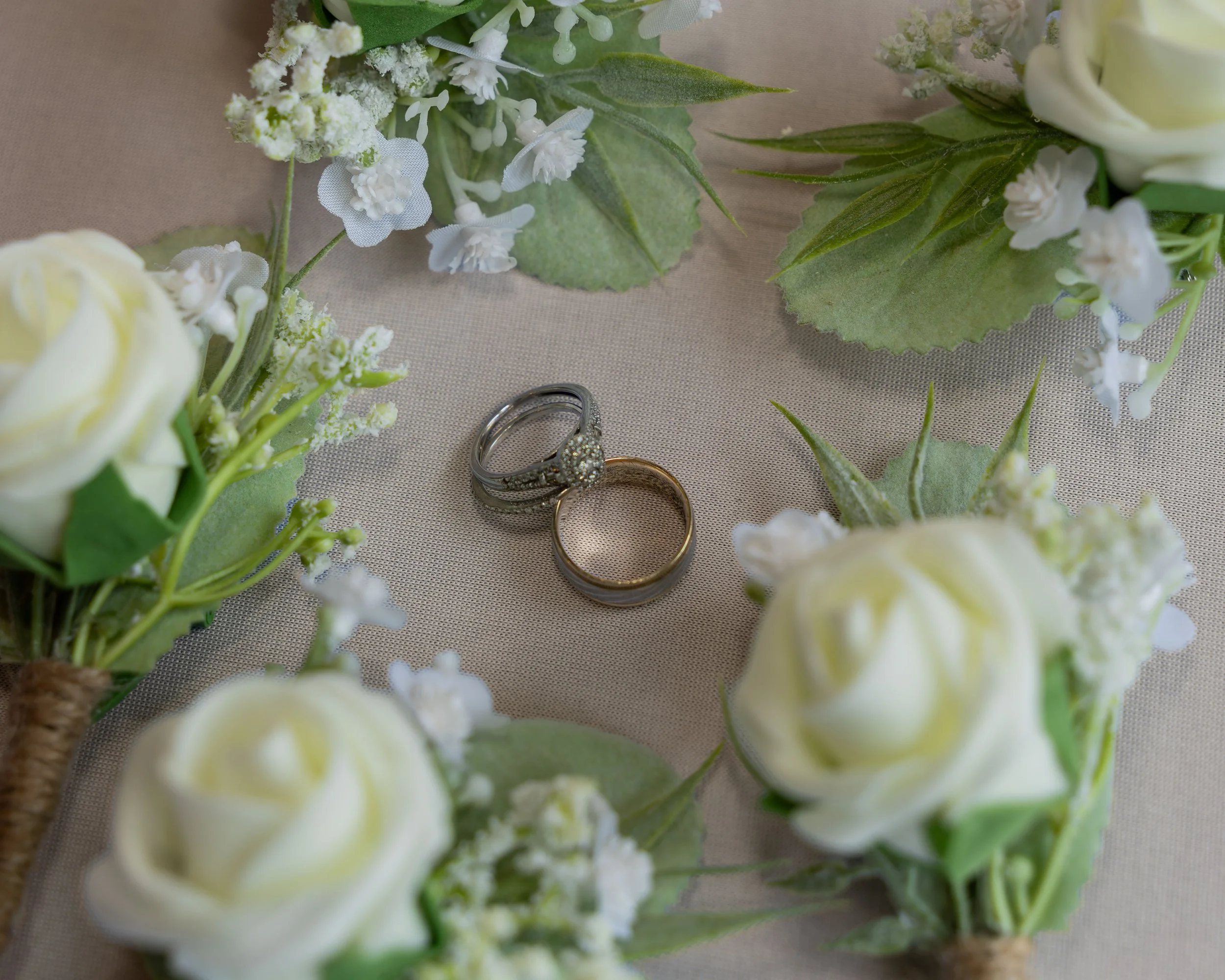 LOW RES hotography By Jill Emmer-8.jpg