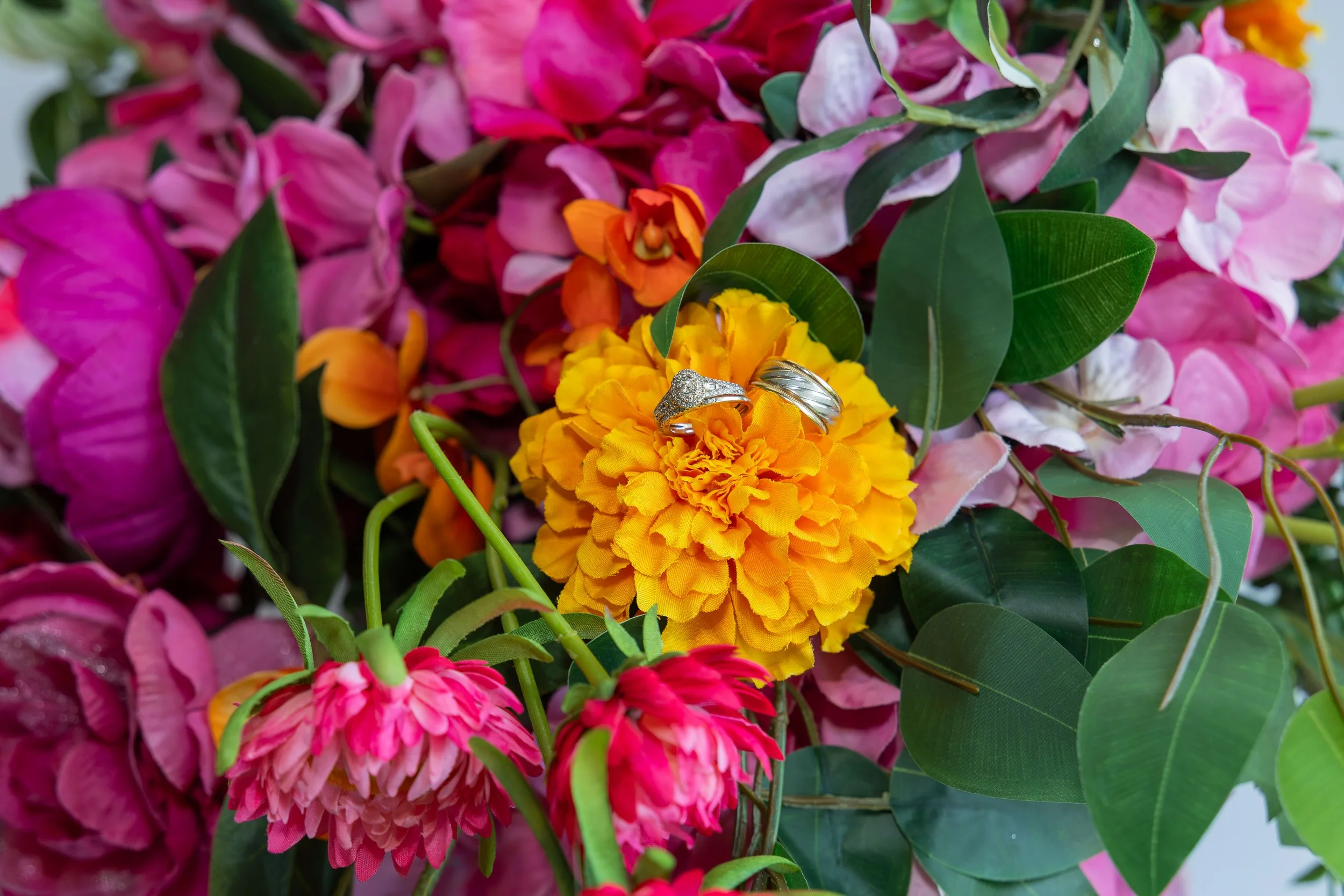 LOW RES hotography By Jill Emmer-10.jpg