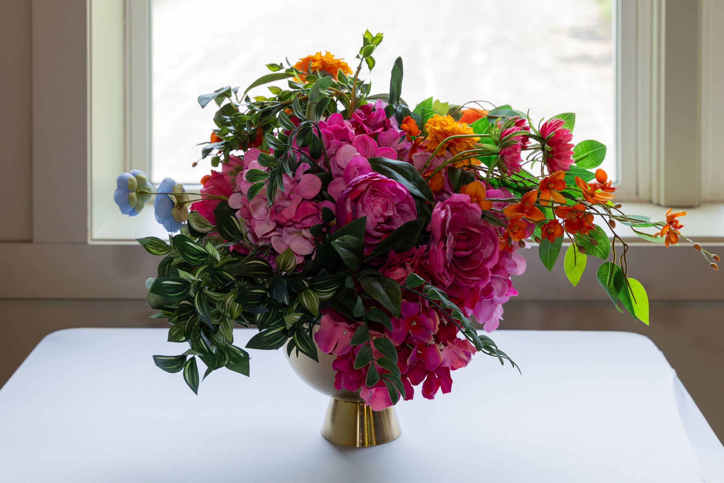 LOW RES hotography By Jill Emmer-9.jpg