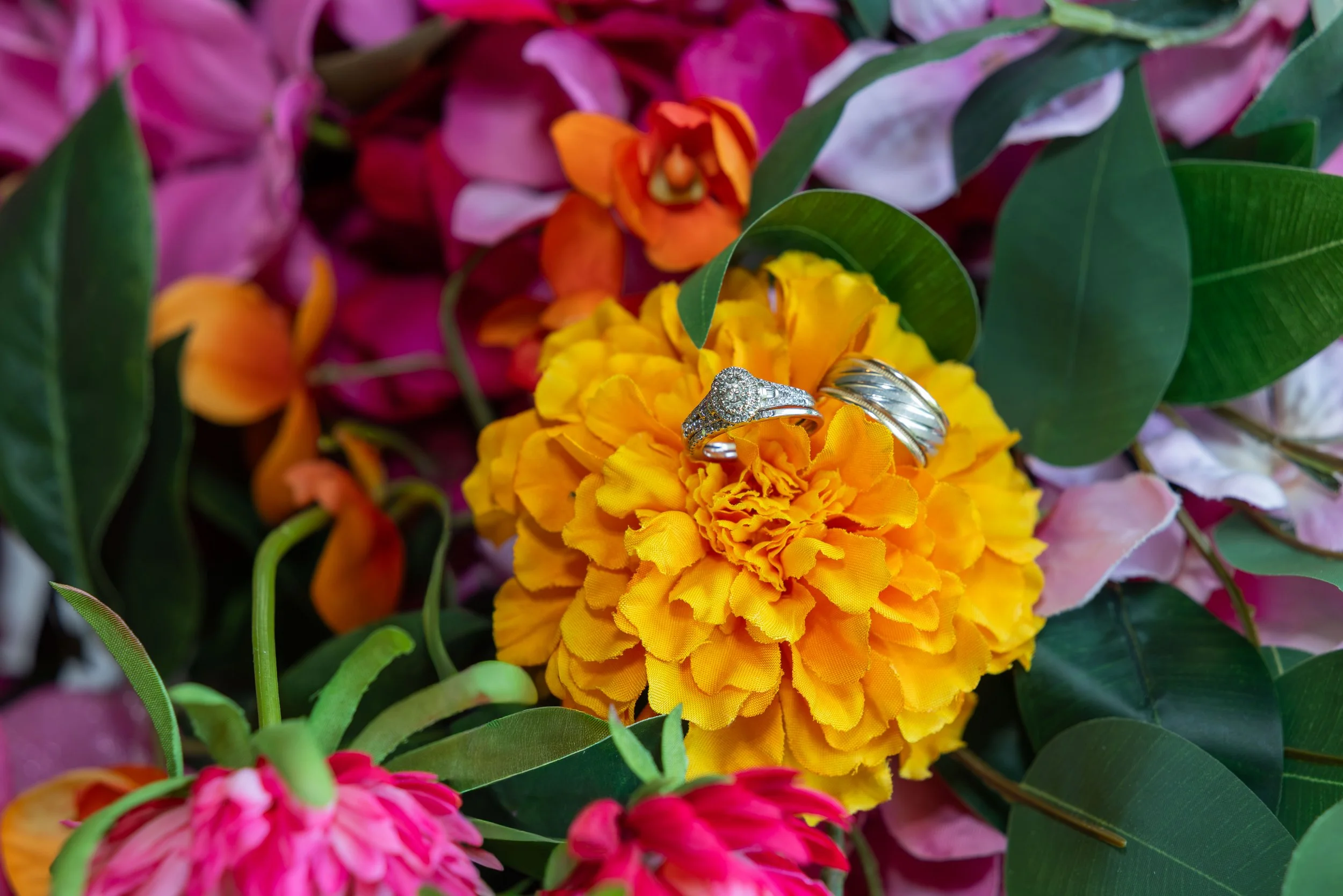 LOW RES hotography By Jill Emmer-11.jpg