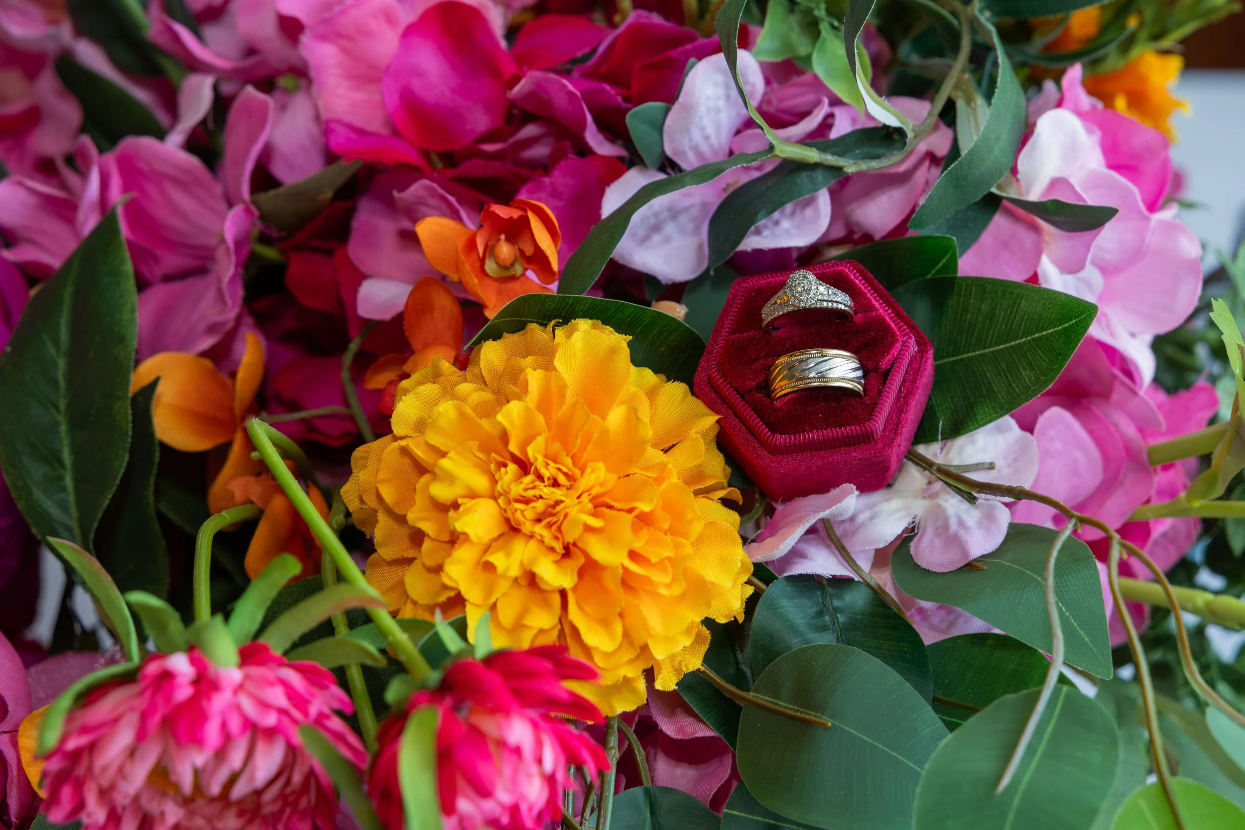 LOW RES hotography By Jill Emmer-12.jpg