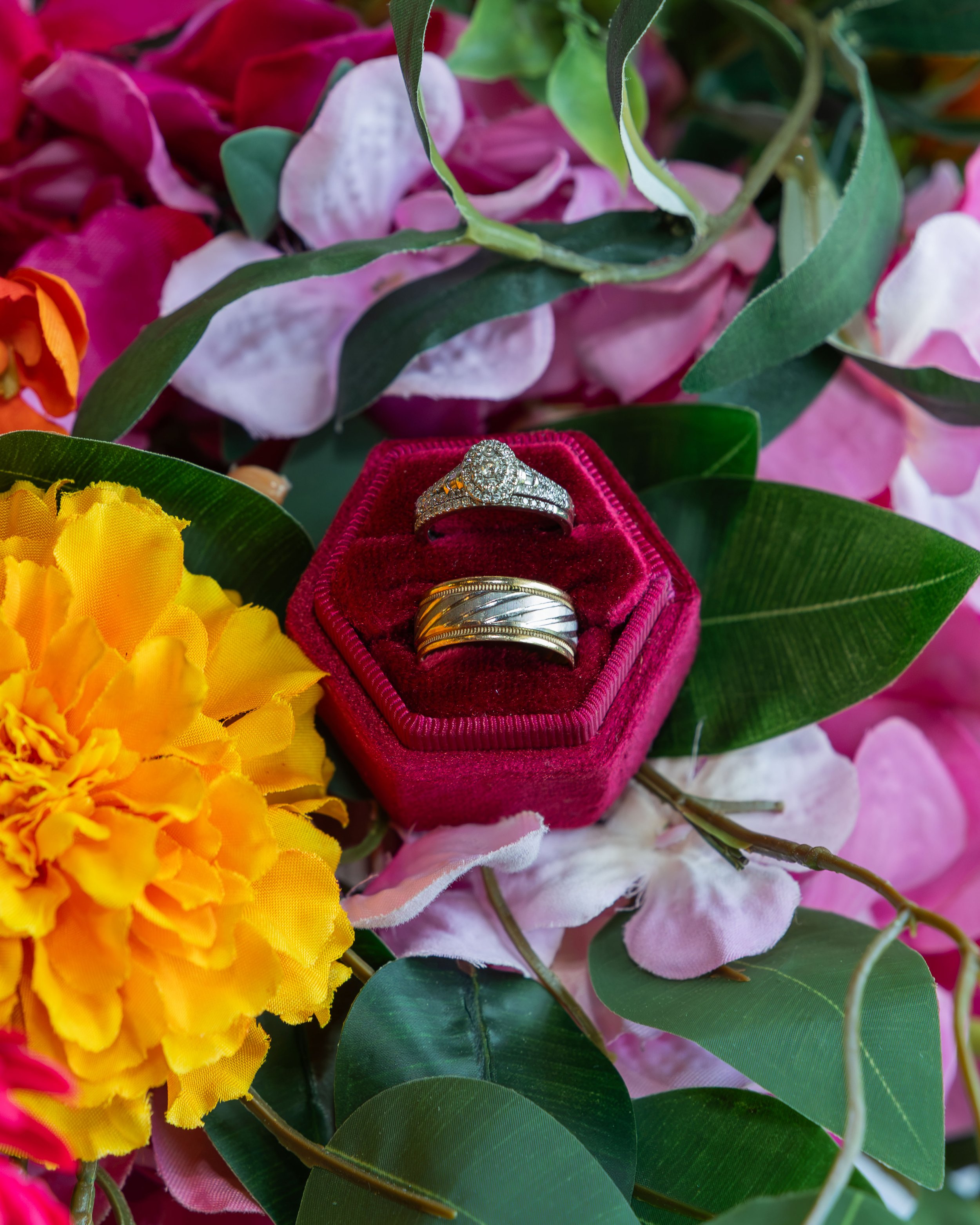 LOW RES hotography By Jill Emmer-13.jpg