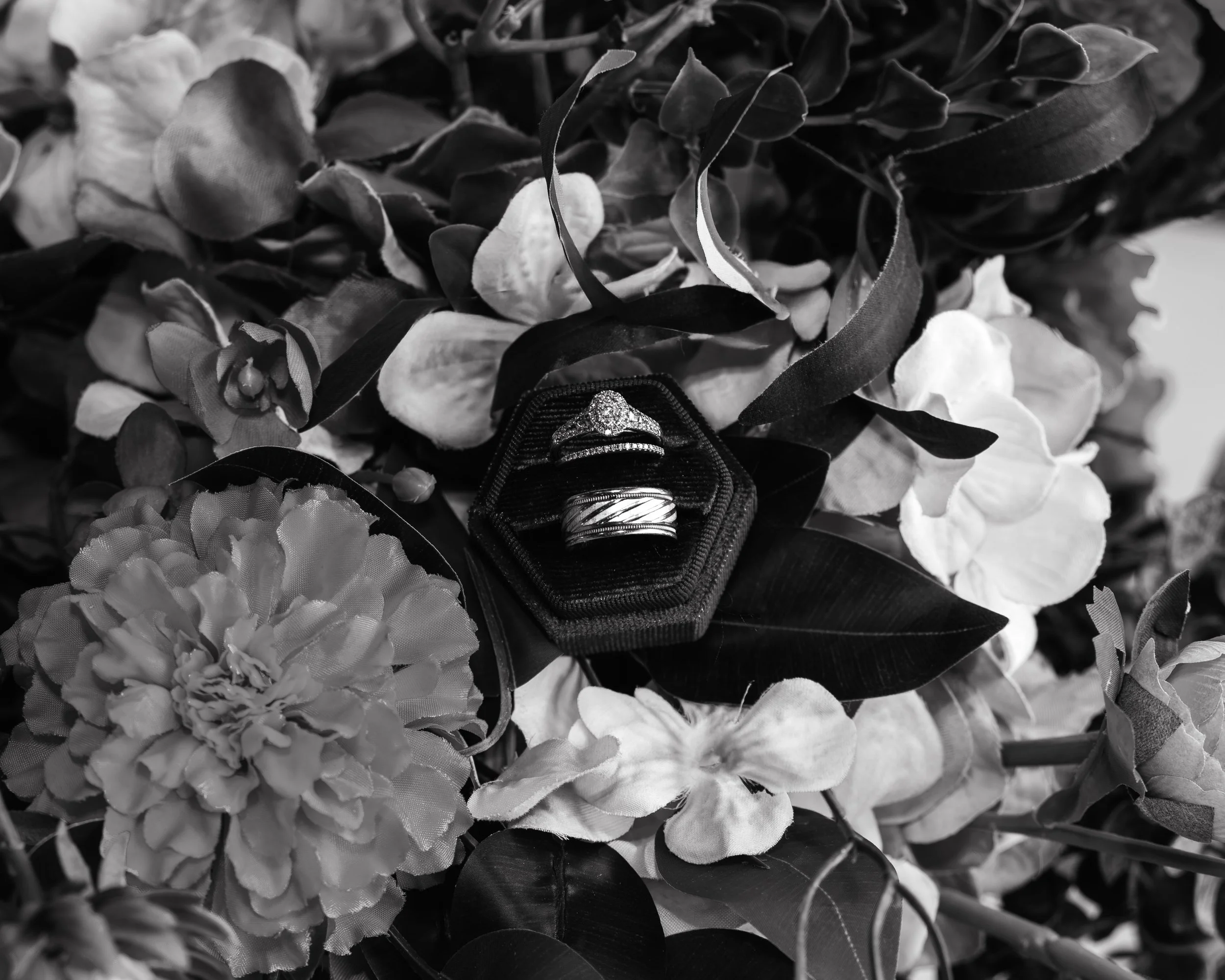 LOW RES hotography By Jill Emmer-15.jpg