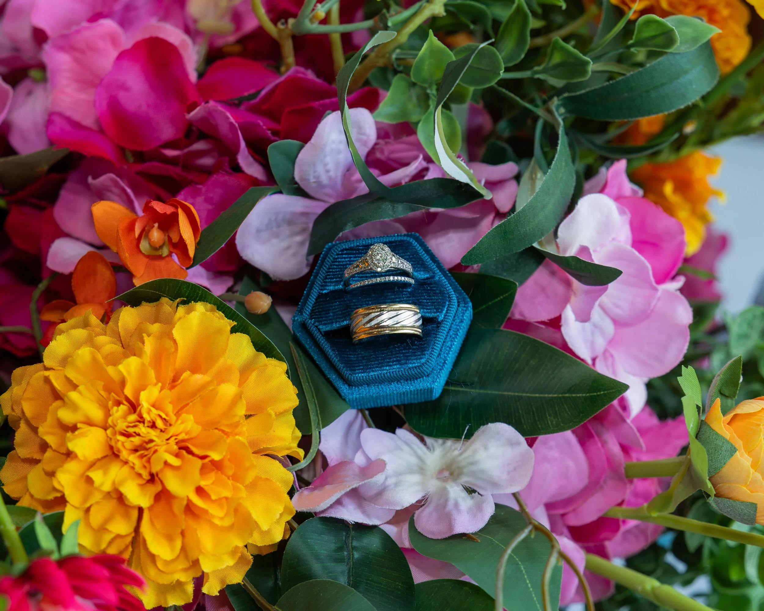 LOW RES hotography By Jill Emmer-16.jpg