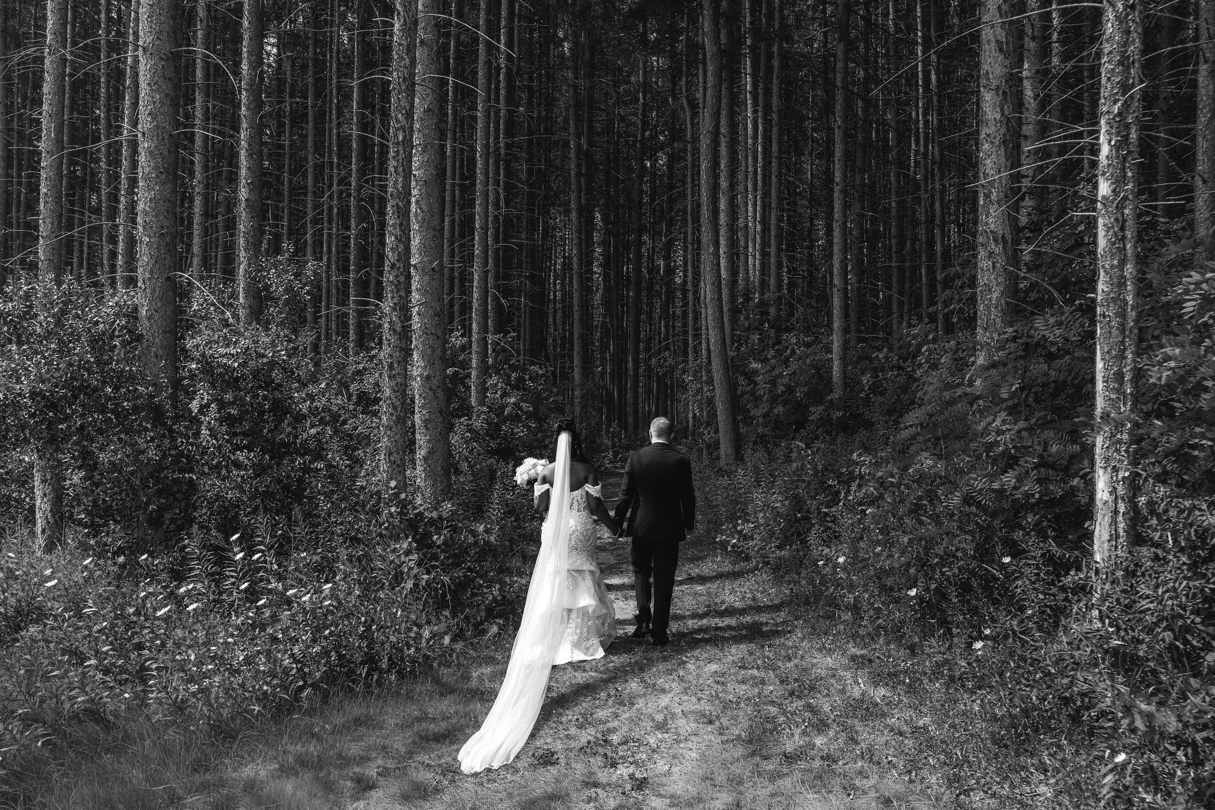 LOW RES hotography By Jill Emmer-112.jpg