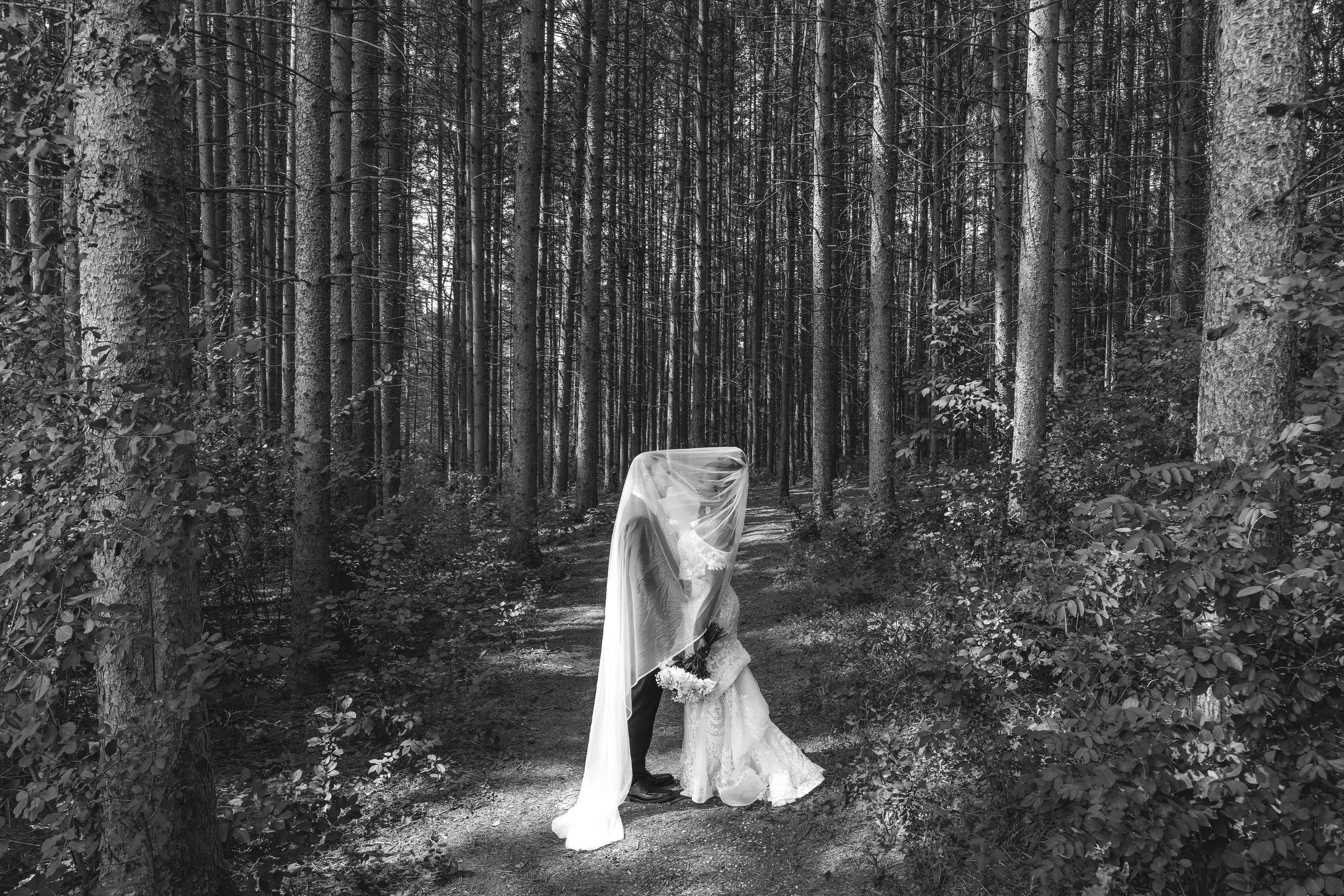 LOW RES hotography By Jill Emmer-137.jpg