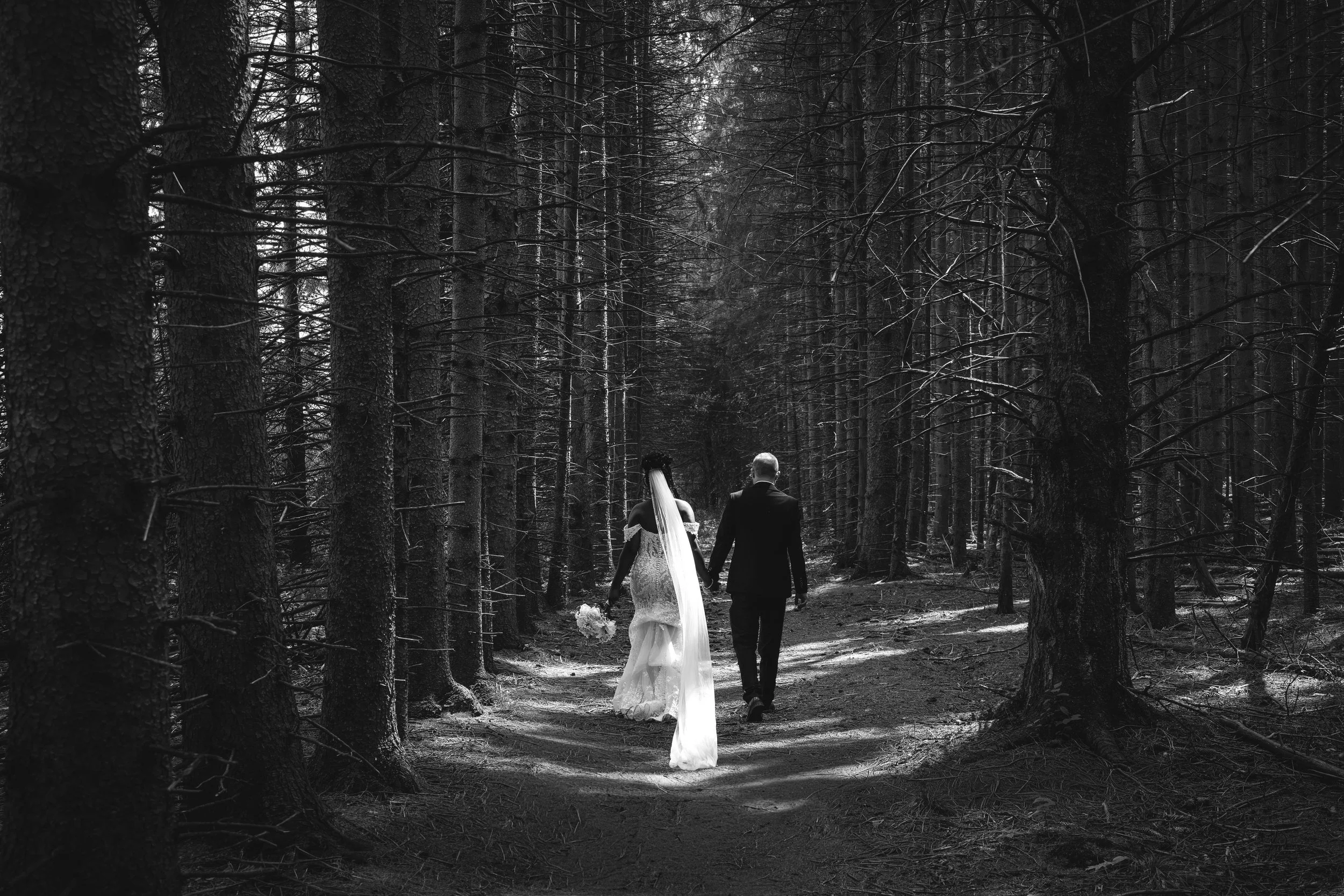 LOW RES hotography By Jill Emmer-163.jpg