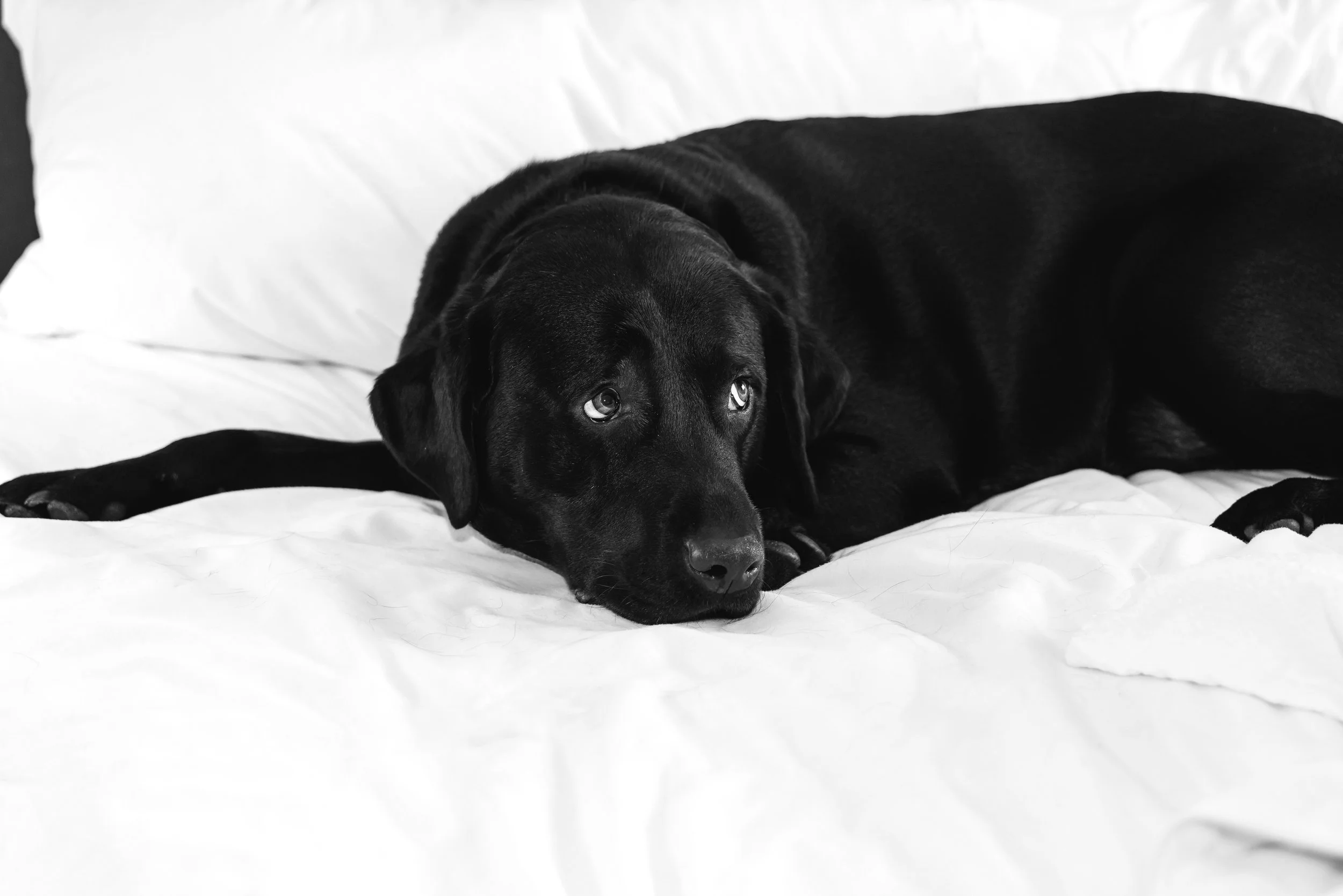 LOW RES Photography By Jill Emmer-100.jpg