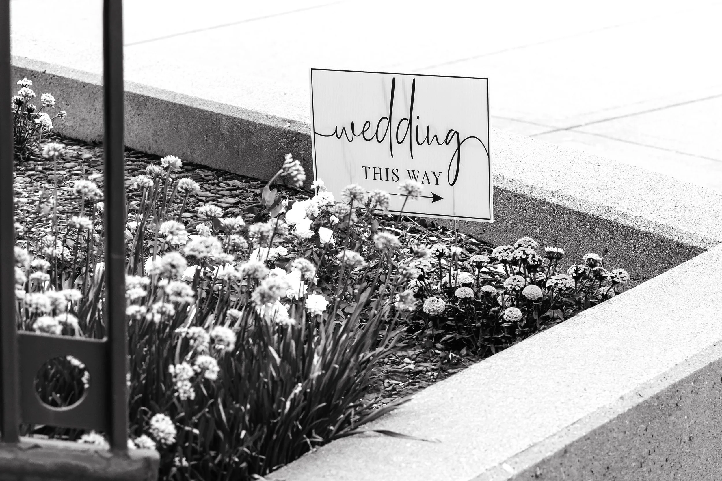 LOW RES Photography By Jill Emmer-210.jpg