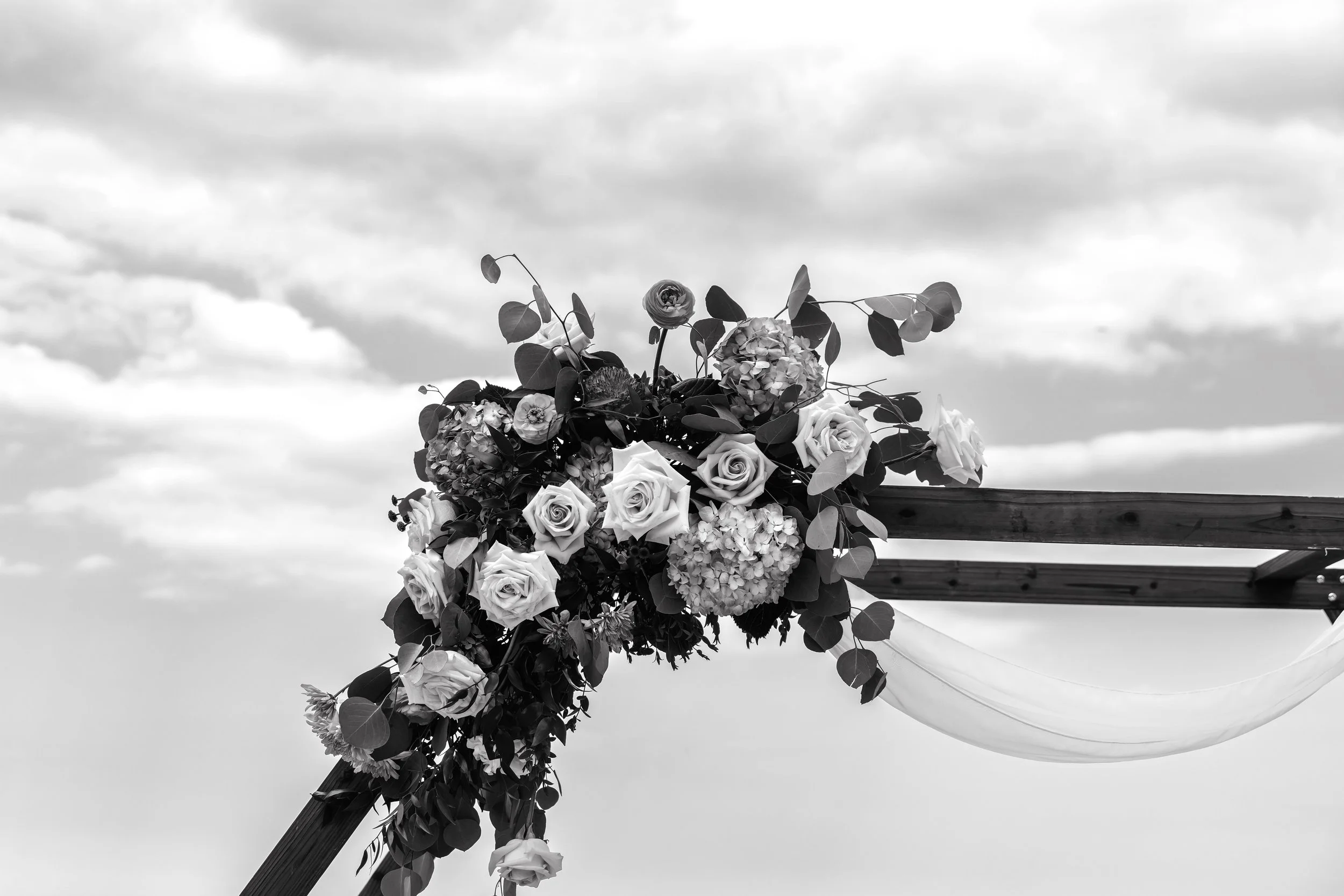 LOW RES Photography By Jill Emmer-224.jpg