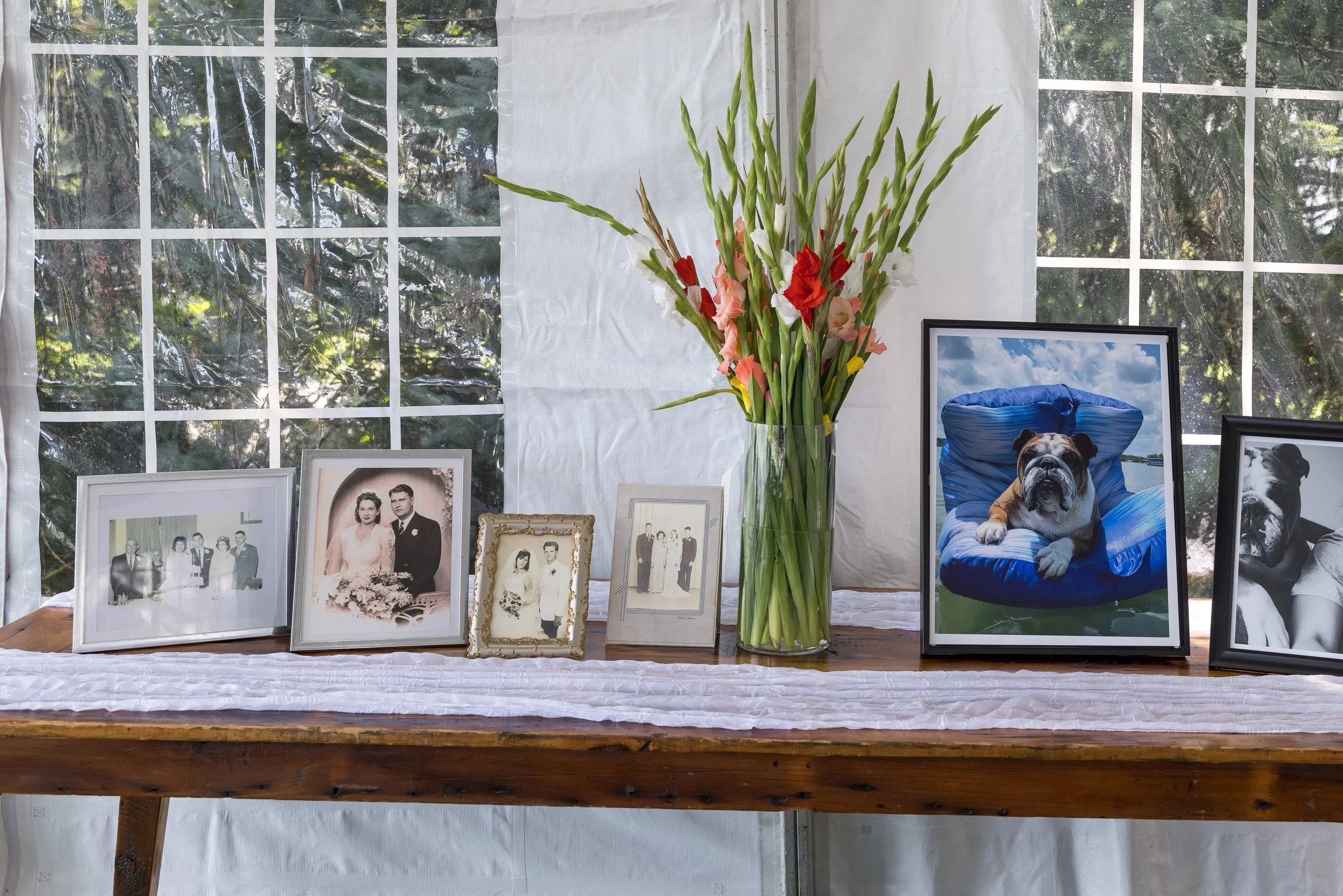 LOW RES Photography by Jill Emmer-25.jpg
