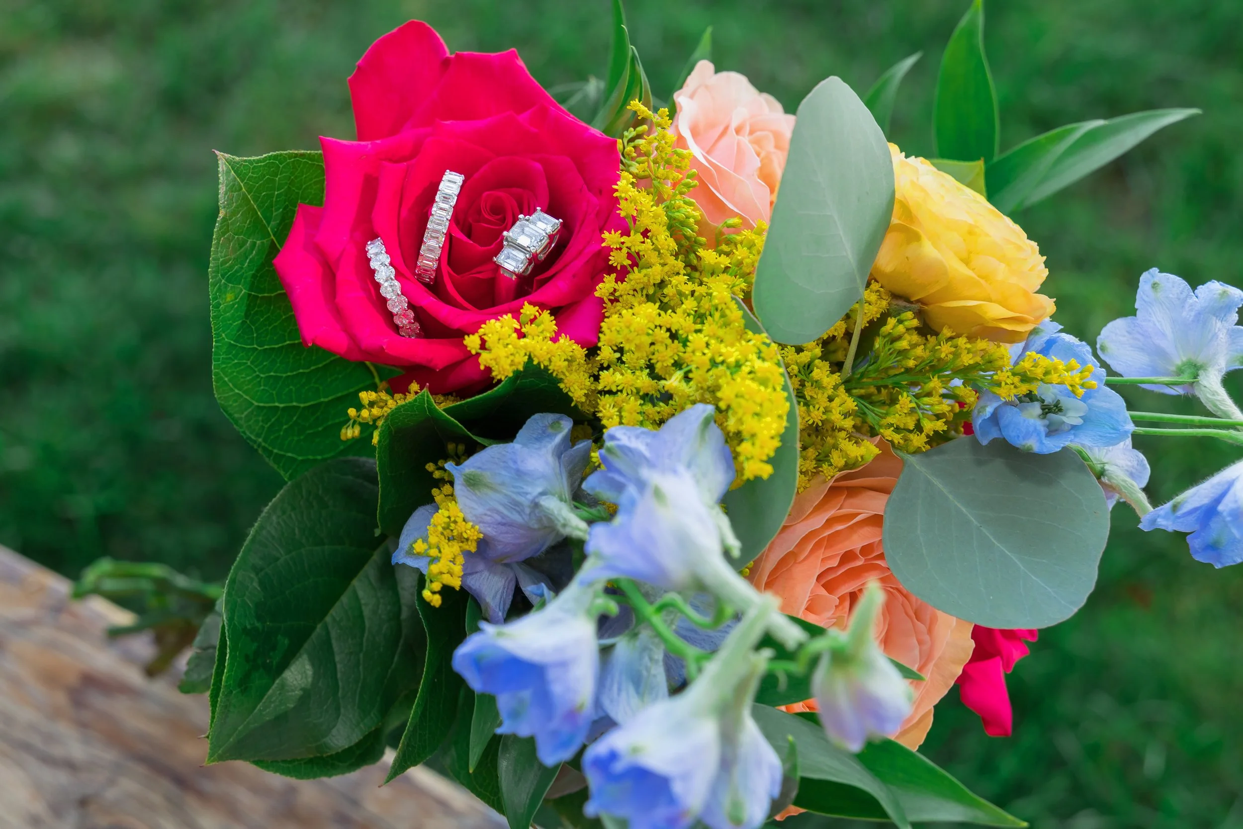 LOW RES Photography by Jill Emmer-41.jpg