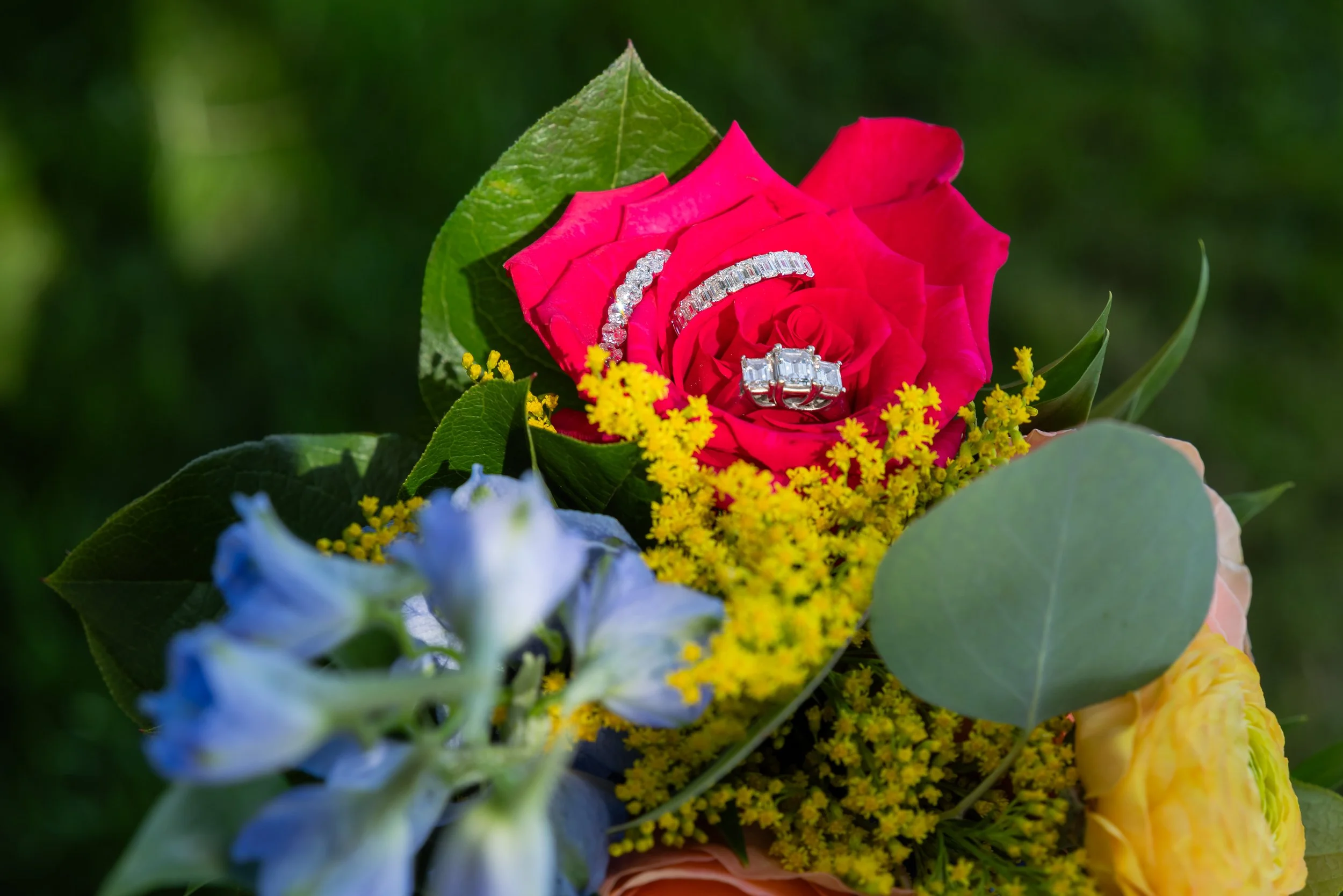 LOW RES Photography by Jill Emmer-42.jpg