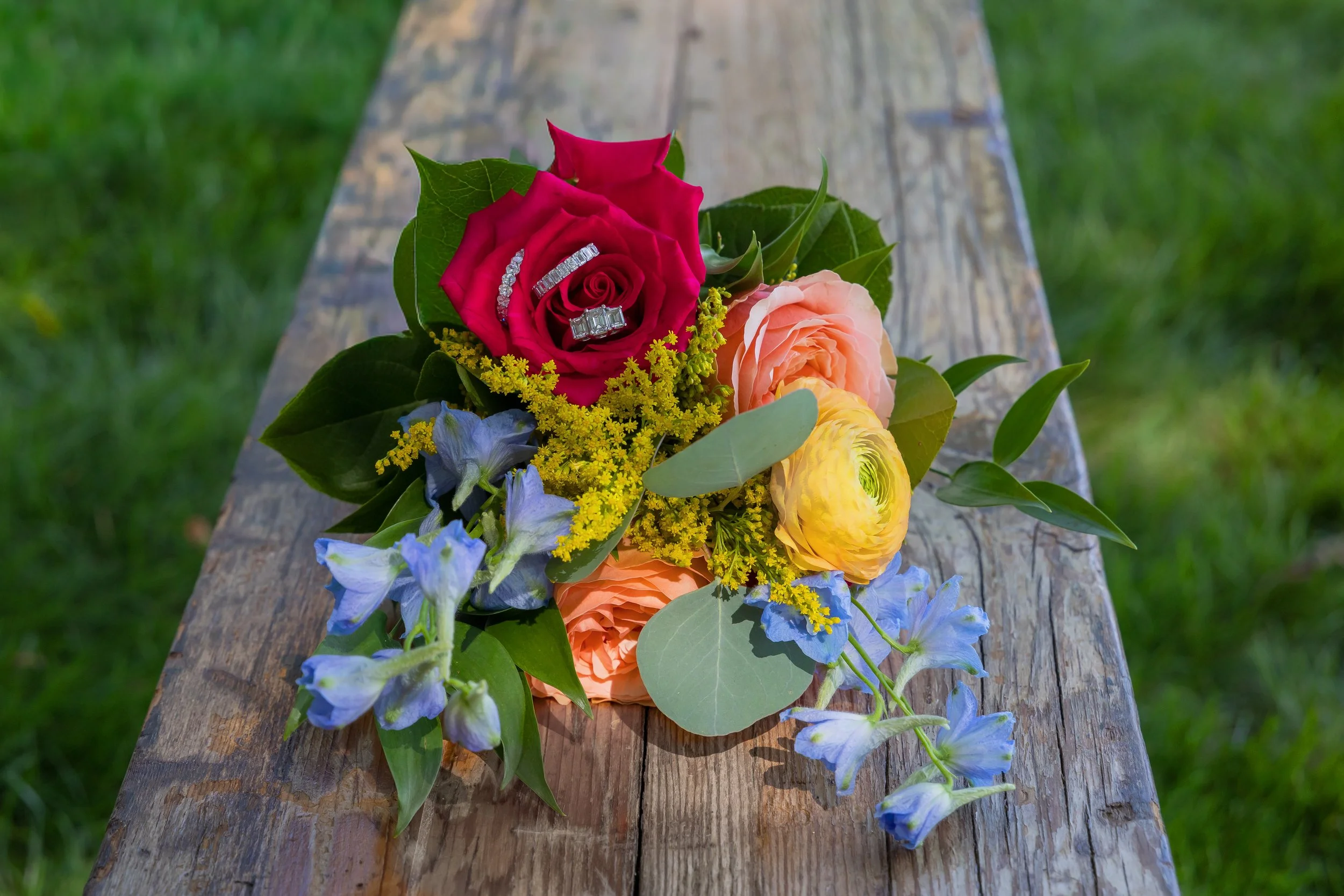 LOW RES Photography by Jill Emmer-43.jpg