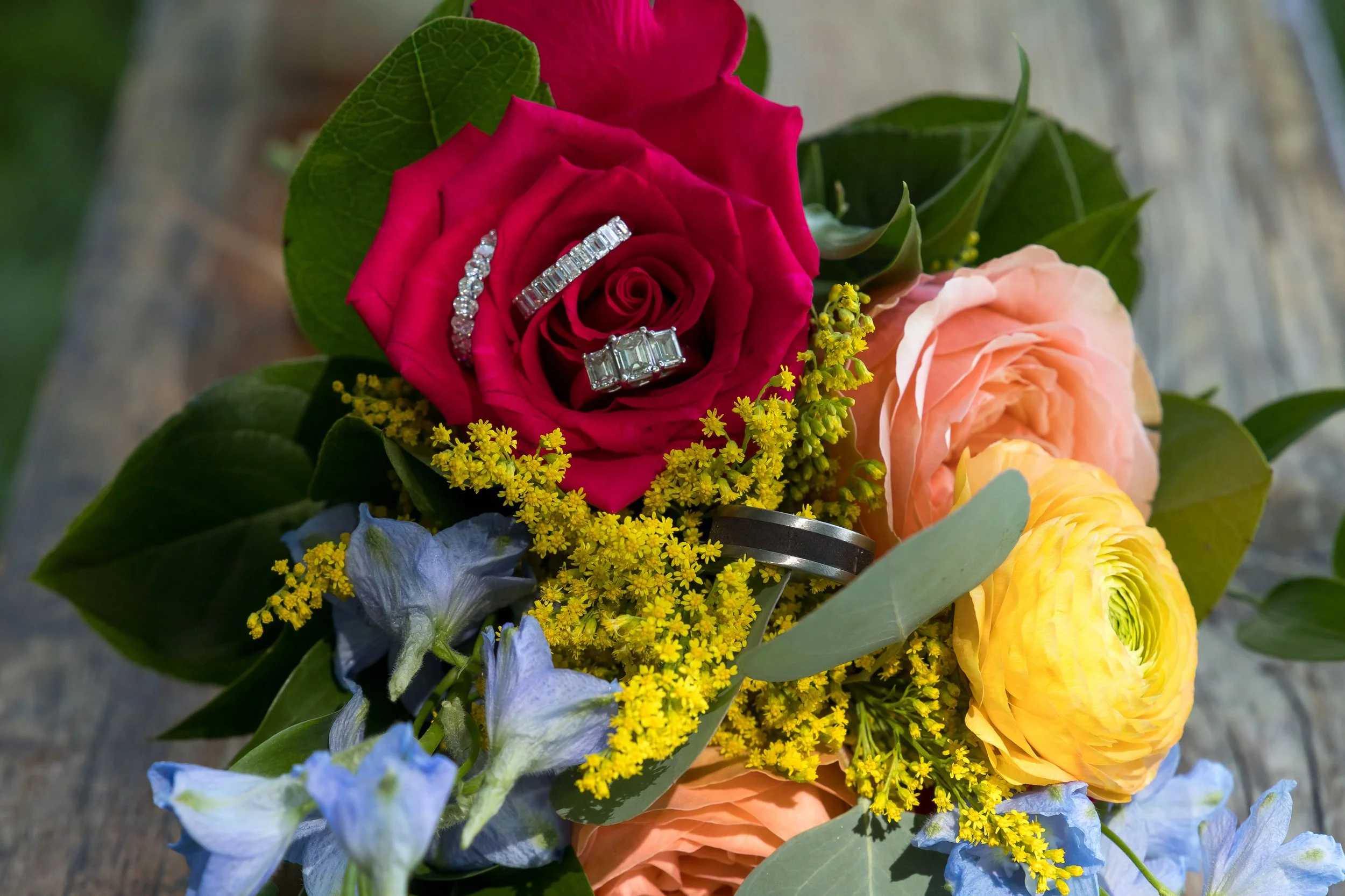 LOW RES Photography by Jill Emmer-44.jpg