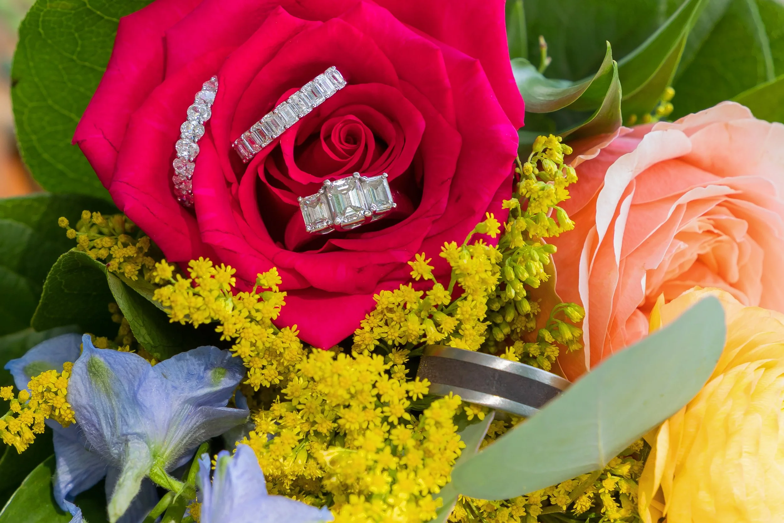 LOW RES Photography by Jill Emmer-45.jpg