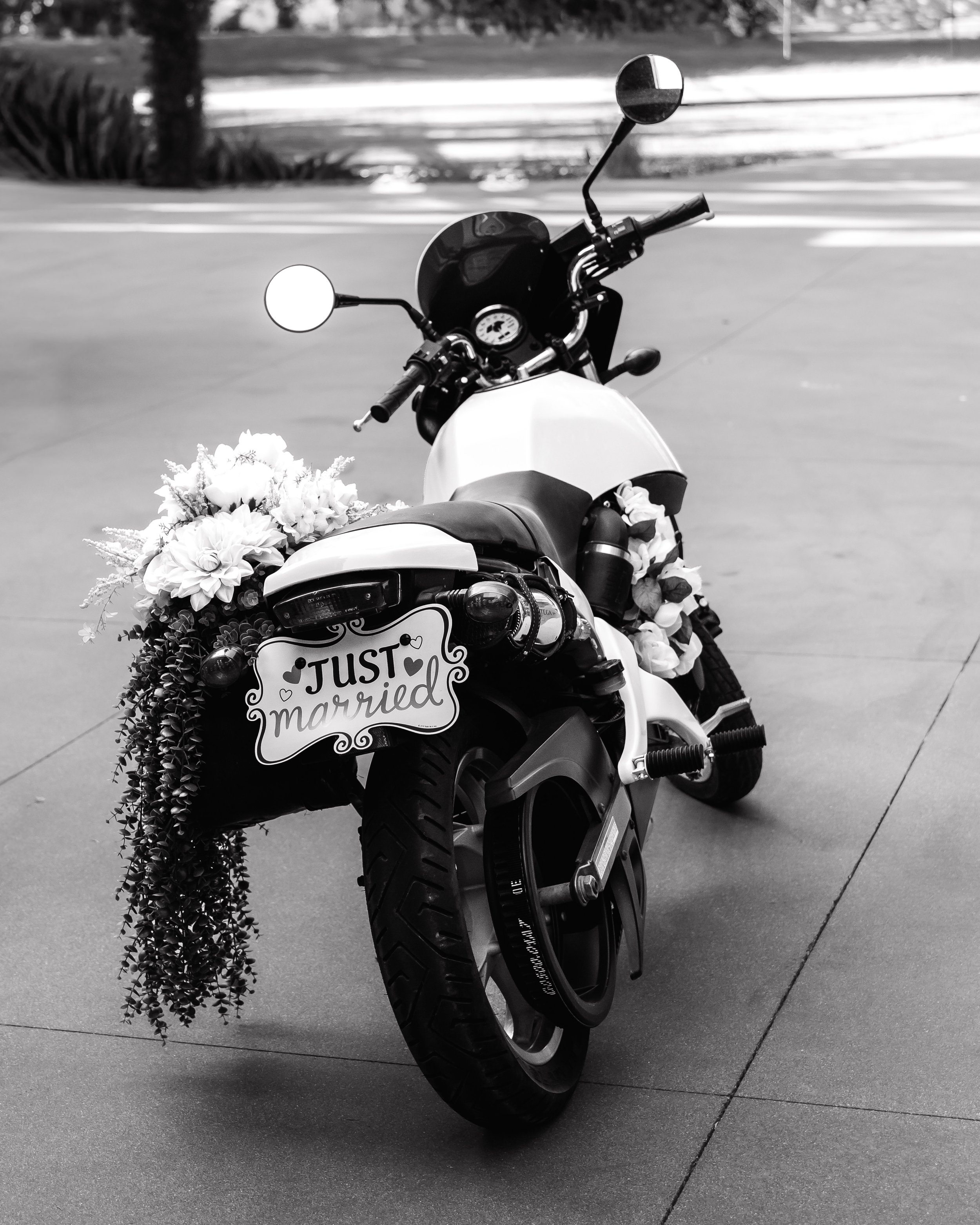 LOW RES Photography by Jill Emmer-47.jpg