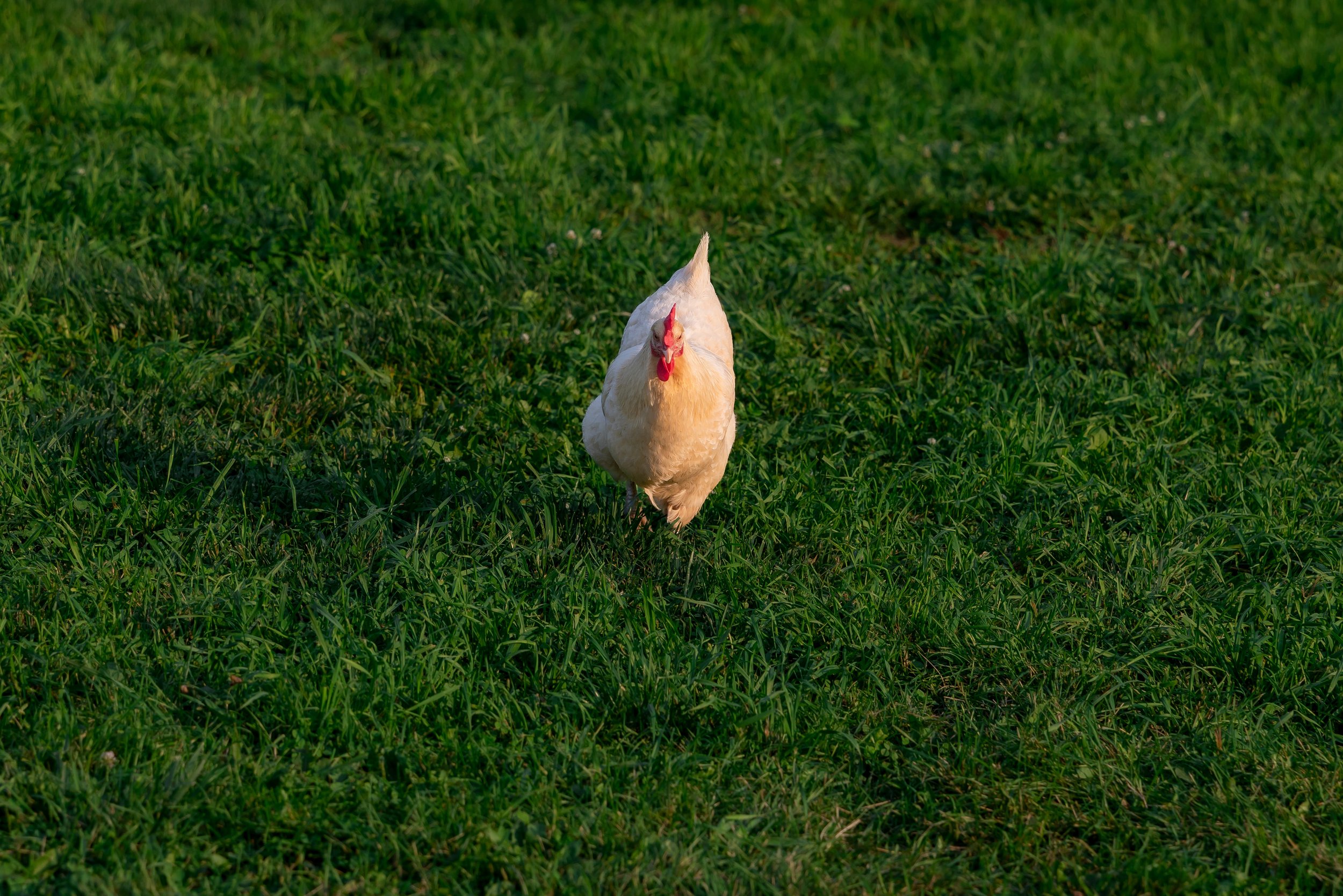 LOW RES Photography By Jill Emmer-27.jpg