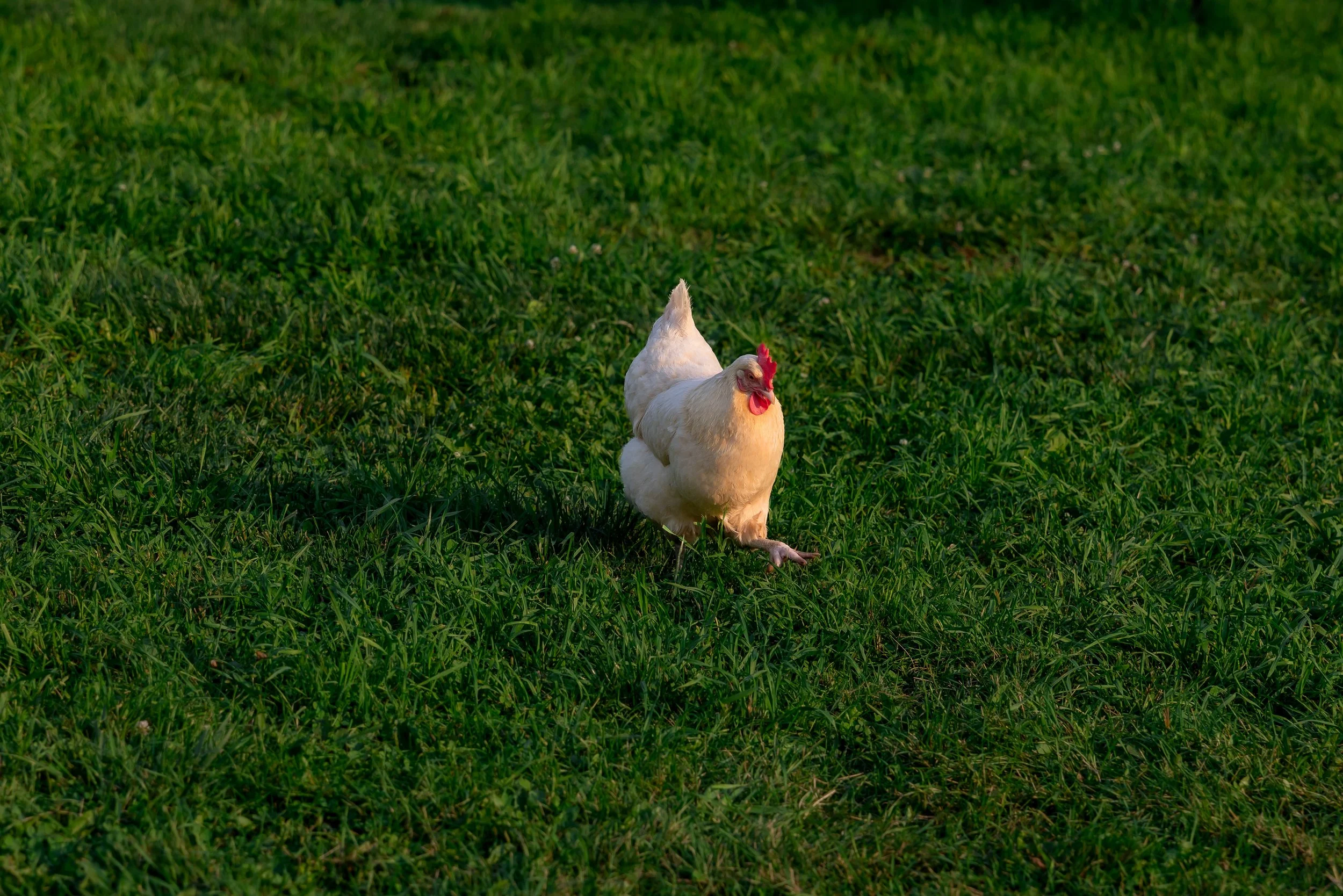 LOW RES Photography By Jill Emmer-28.jpg