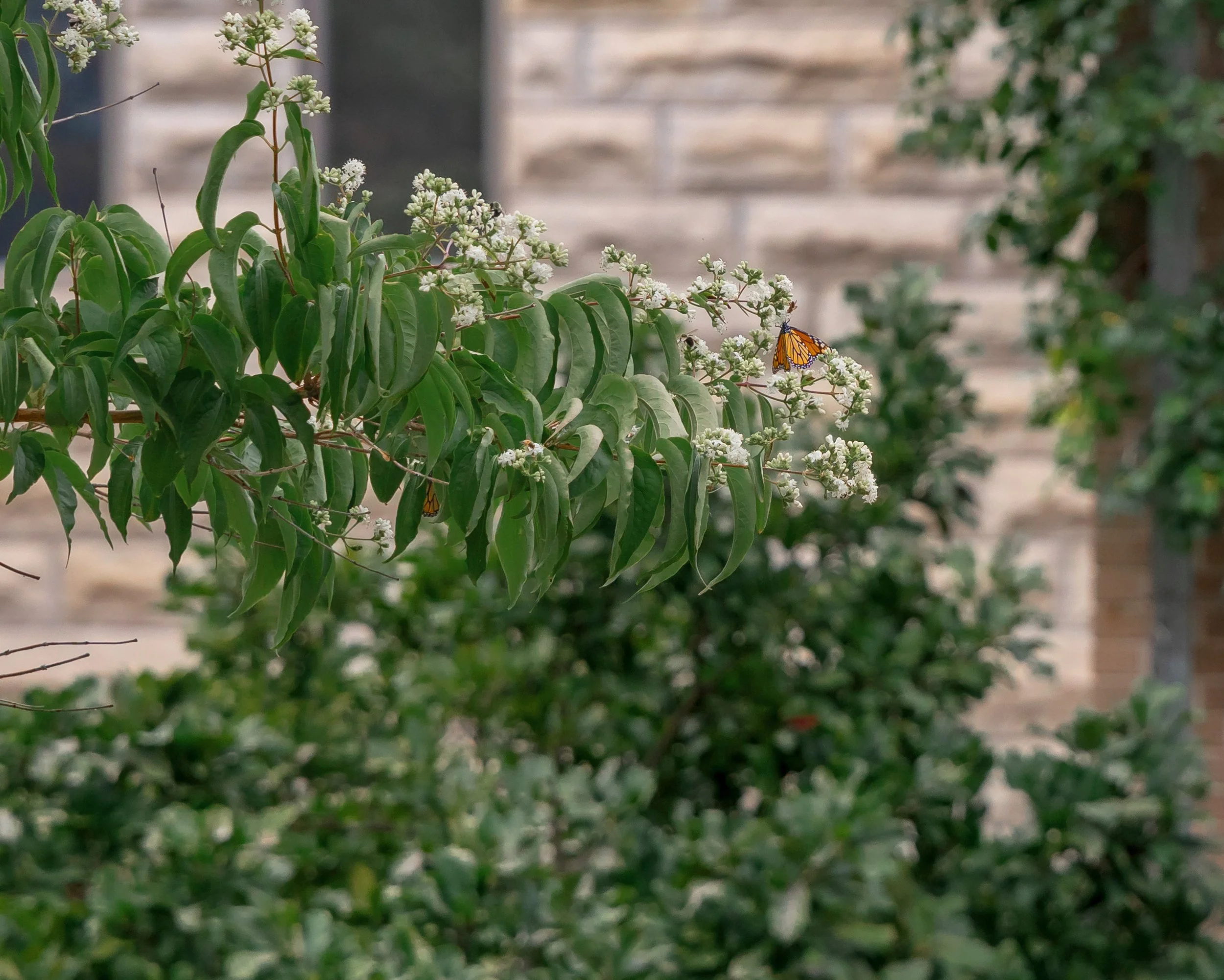 LOW RES Photography By Jill Emmer-82.jpg