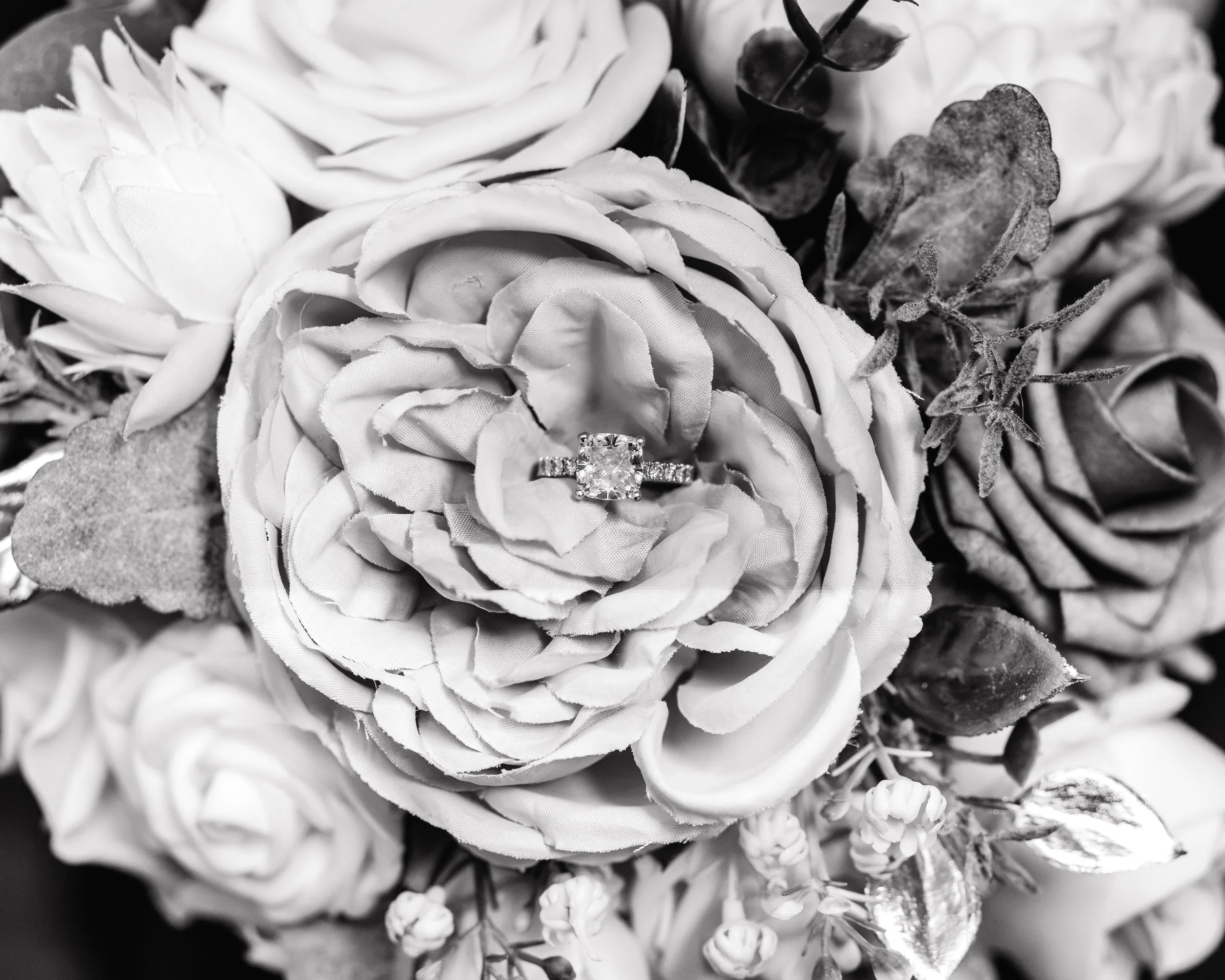LOW RES Photography By Jill Emmer-35.jpg
