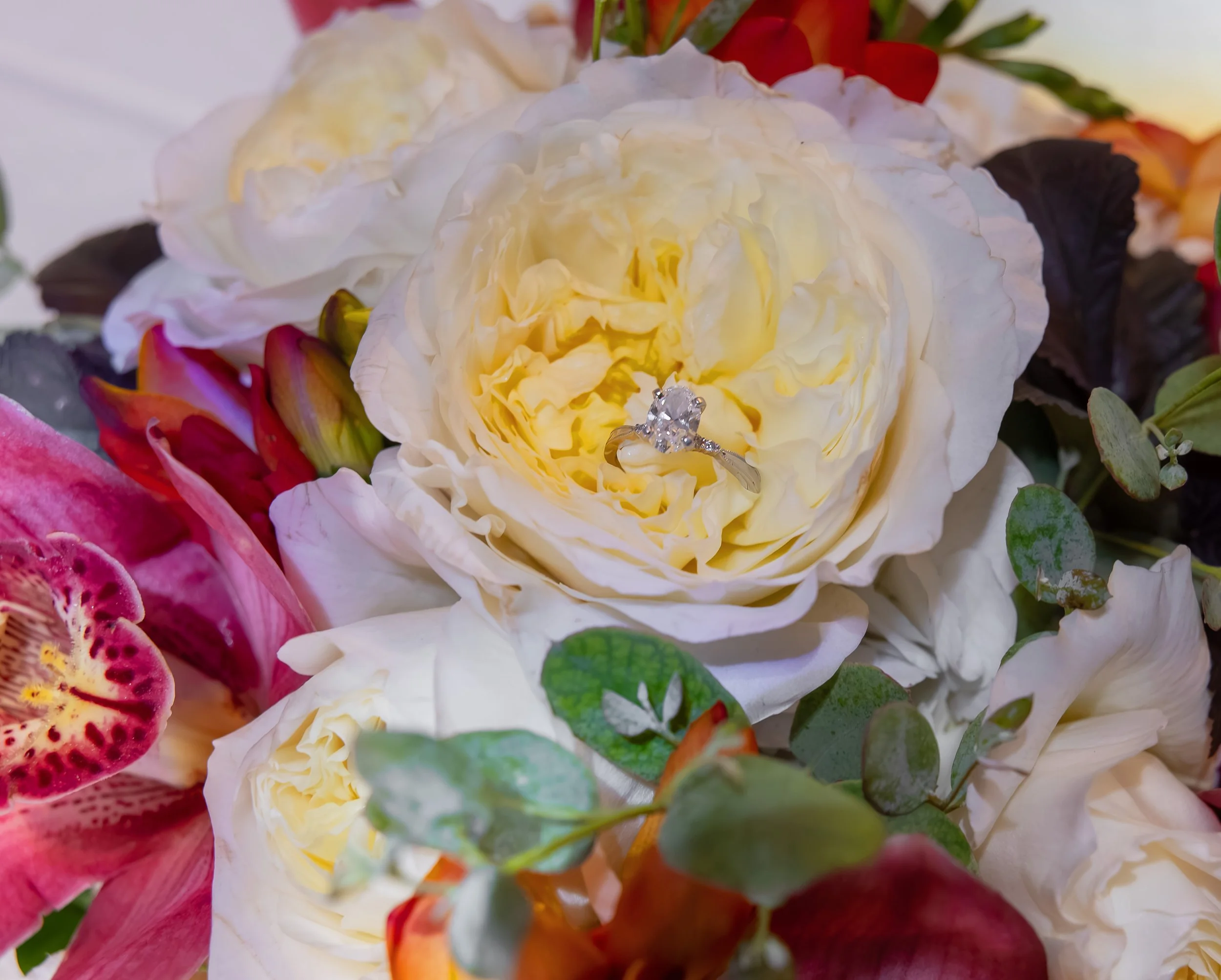LOWRES Photography By Jill Emmer-10.jpg