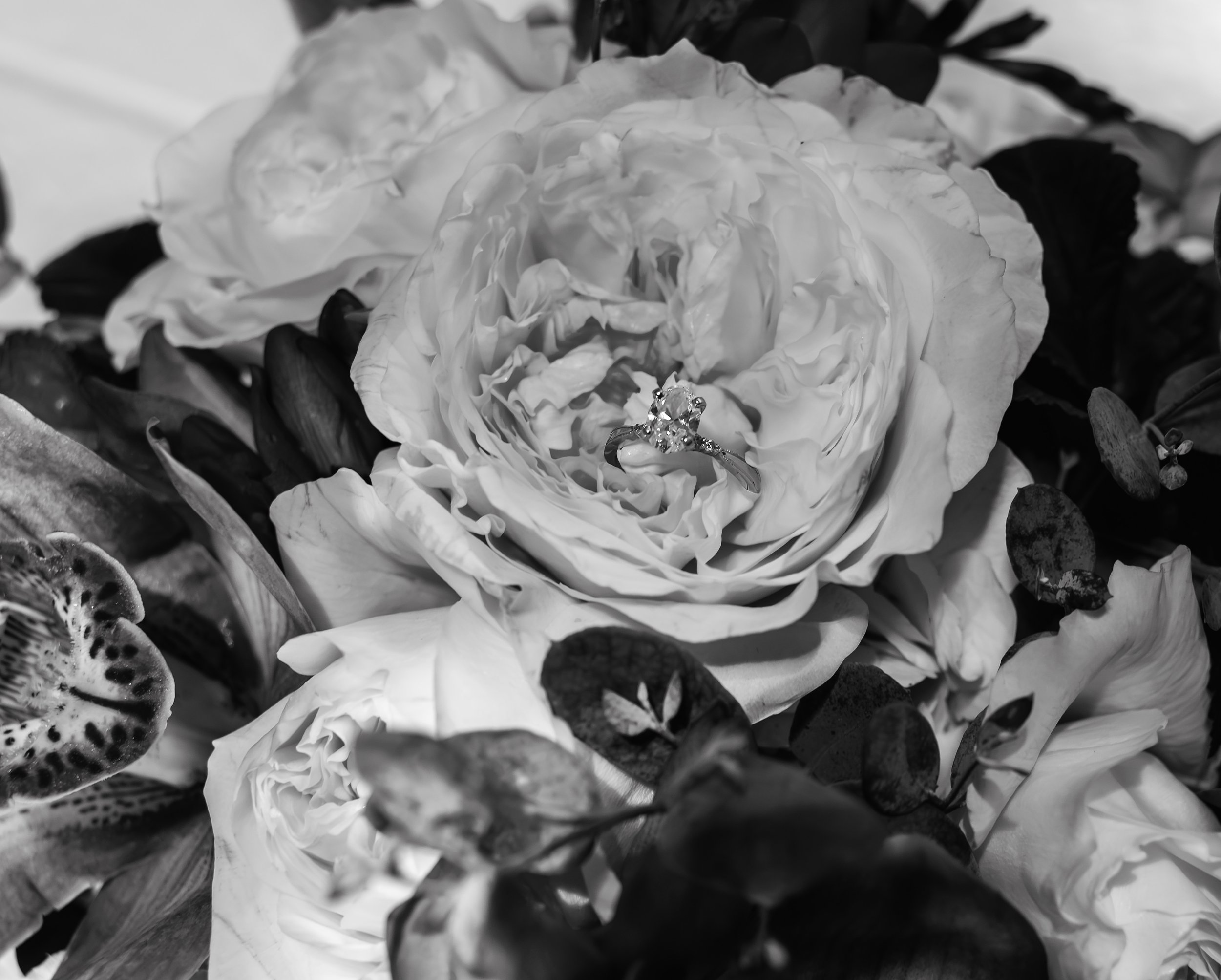 LOWRES Photography By Jill Emmer-11.jpg
