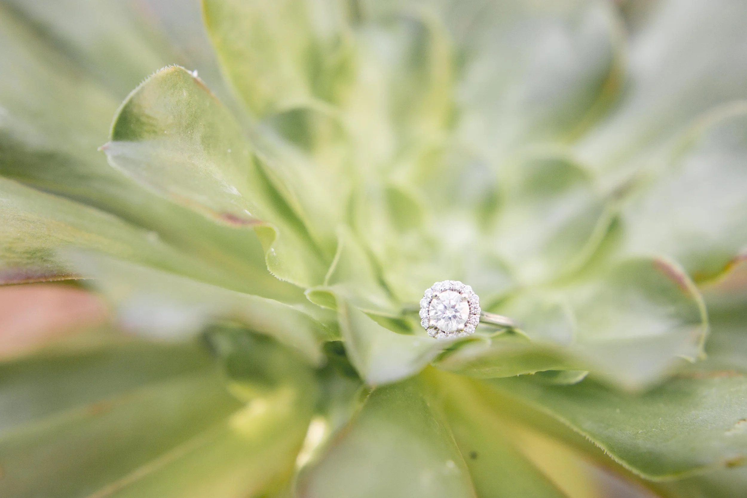 ChicagoEngagement-12.jpg