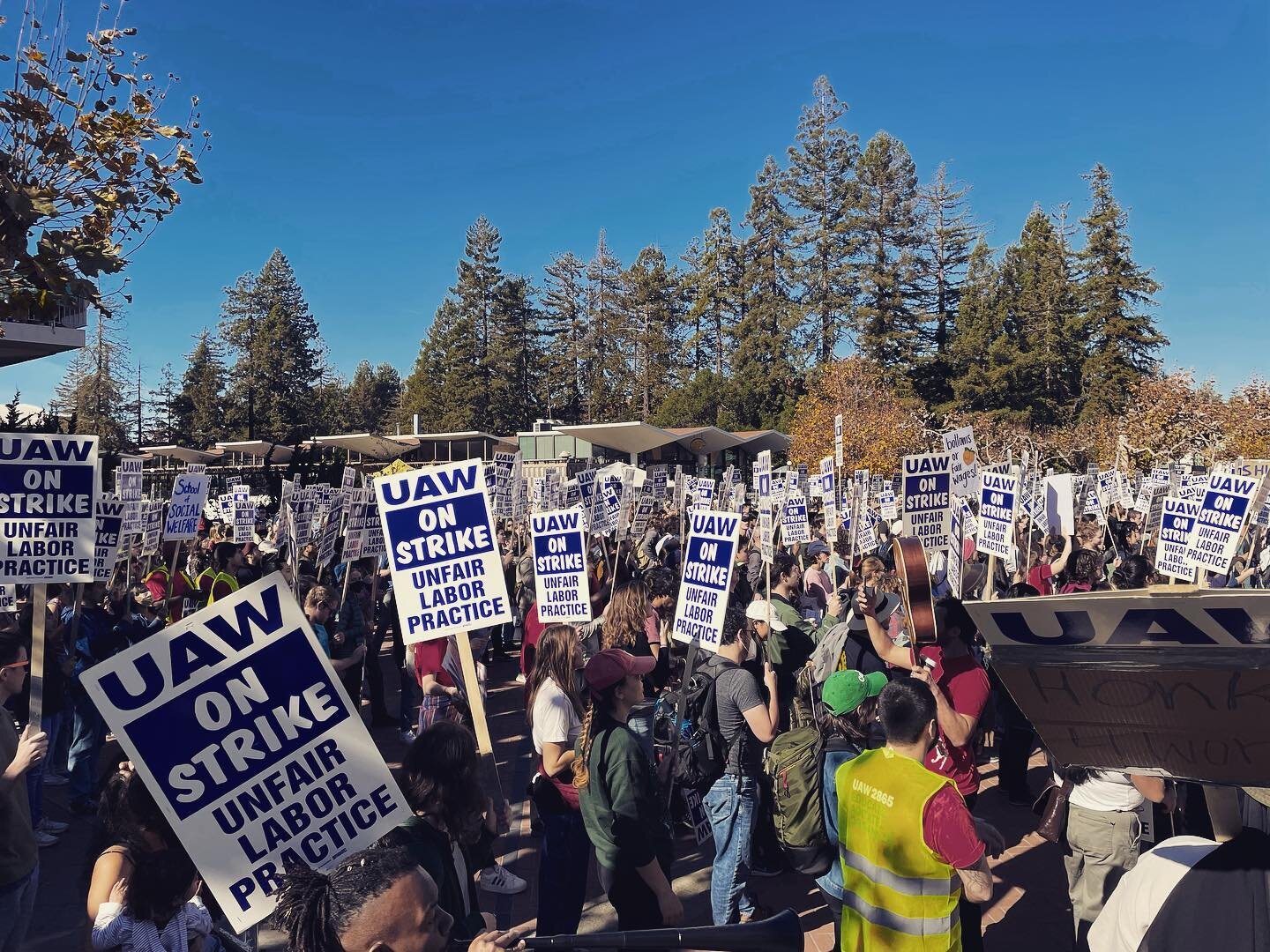 Just a fraction of the student strikers on campus today #gobears ✊🏽✊🏽✊🏽