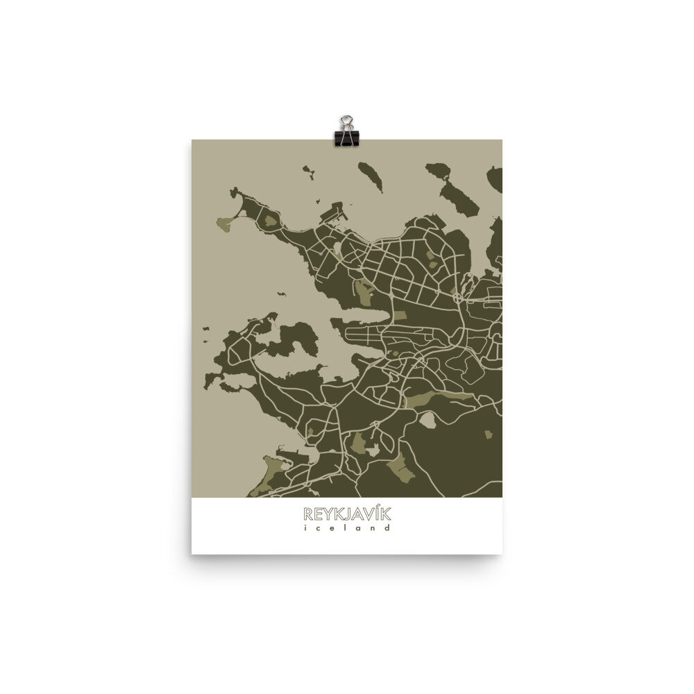 enhanced-matte-paper-poster-(in)-12x16-transparent-614a34de37c00.jpg