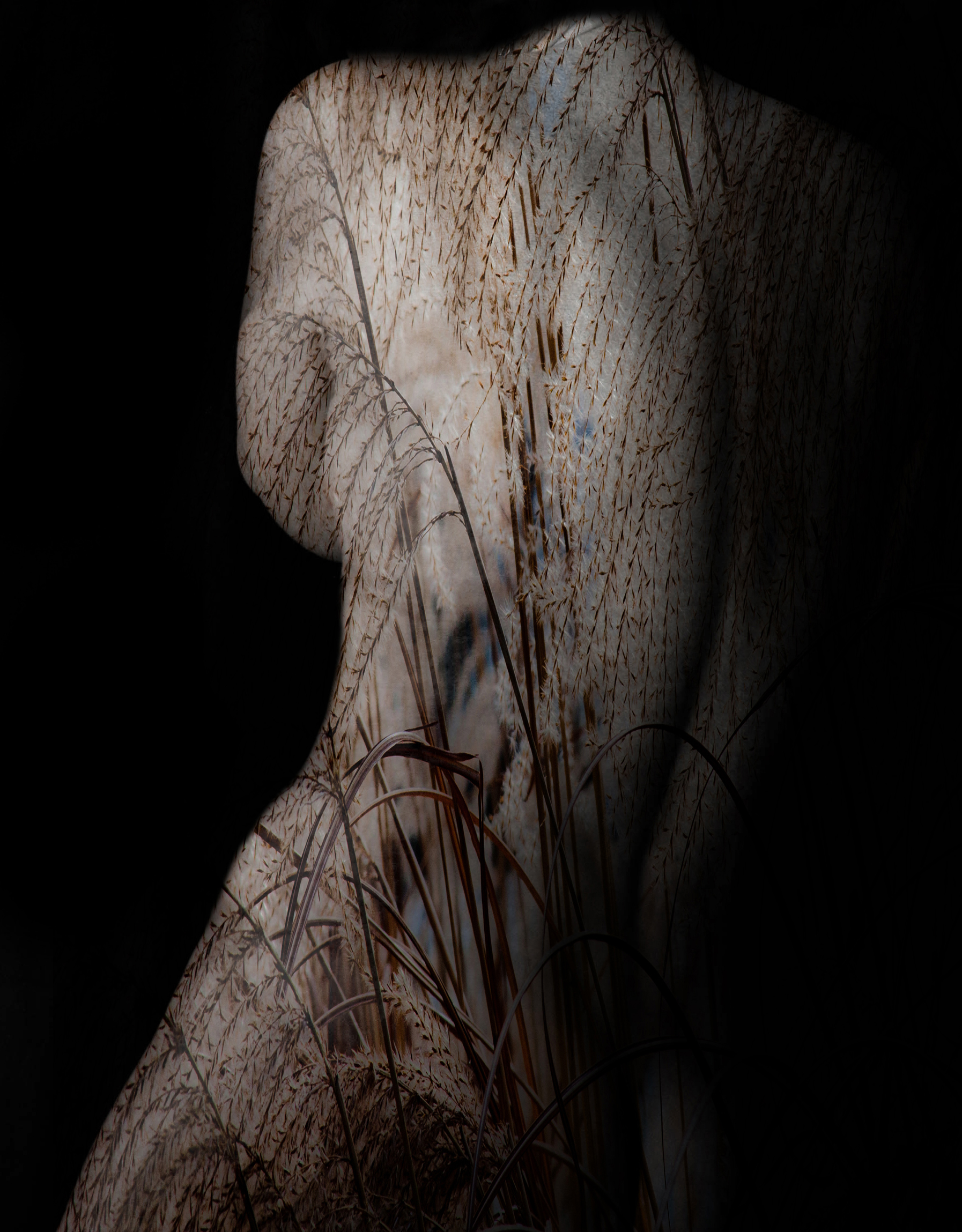 Dream Nude