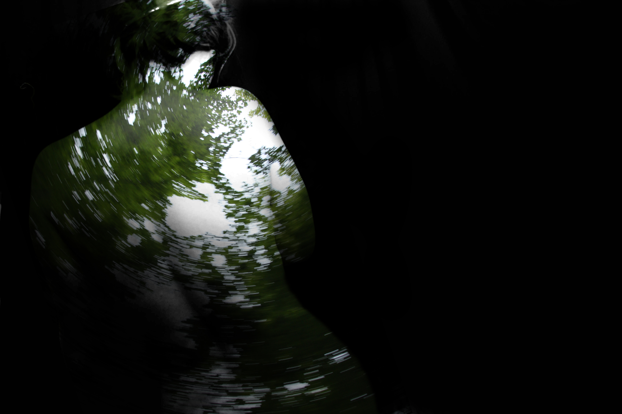 Rush of Trees