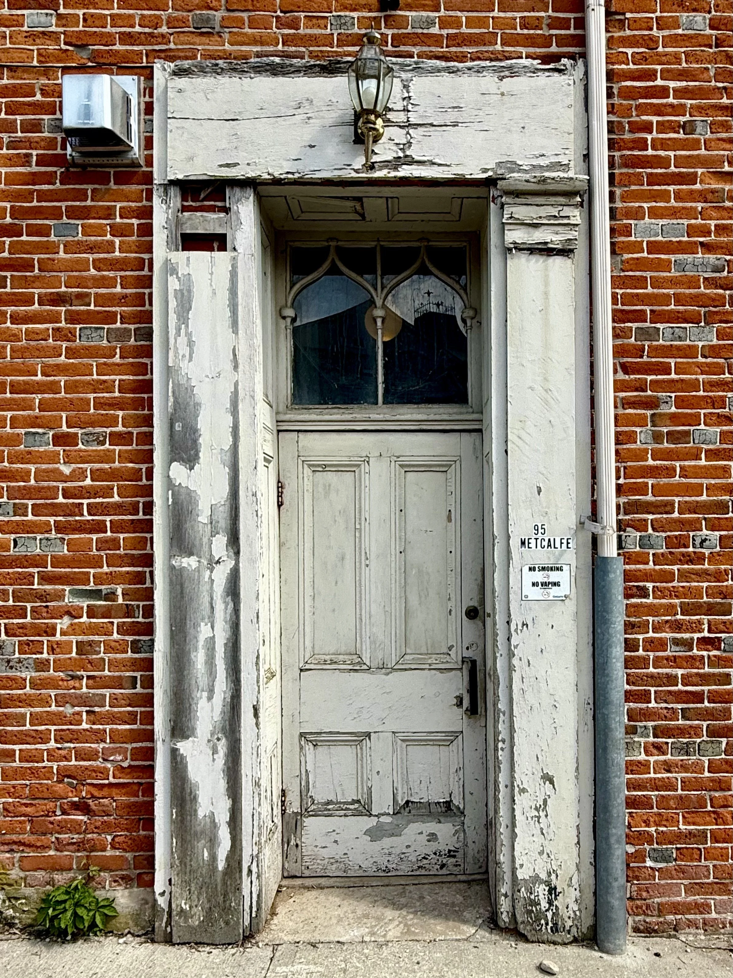 IMG_3551.jpeg