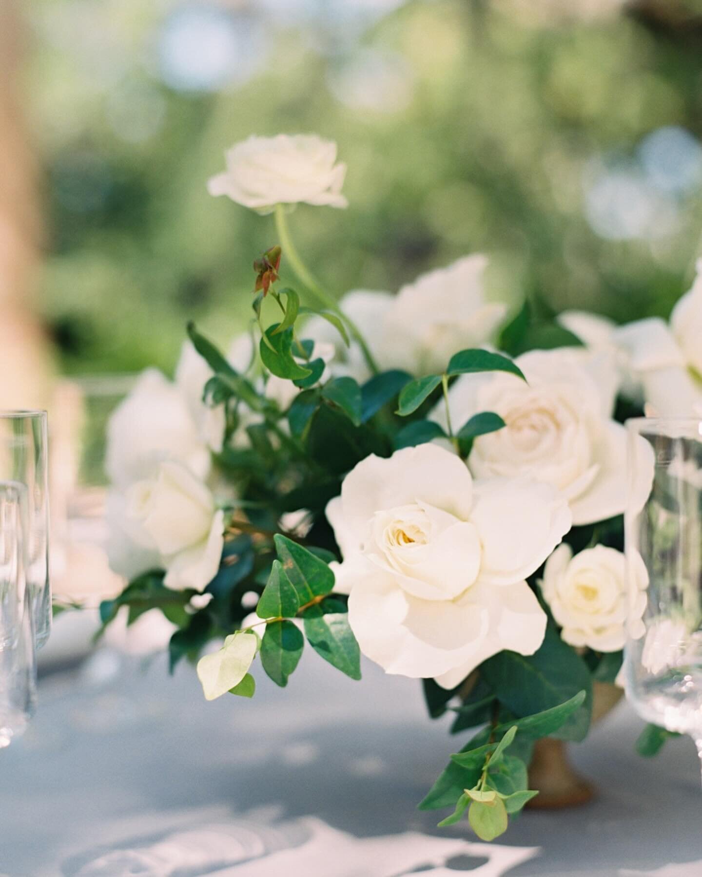 Exquisite details at @vizcaya_museum ✨

There is so much care and attention that goes into creating the most beautiful wedding day details and making them come to life on film just fills my soul! 

Host, designer, florist&nbsp;&nbsp;@jannabrowndesign