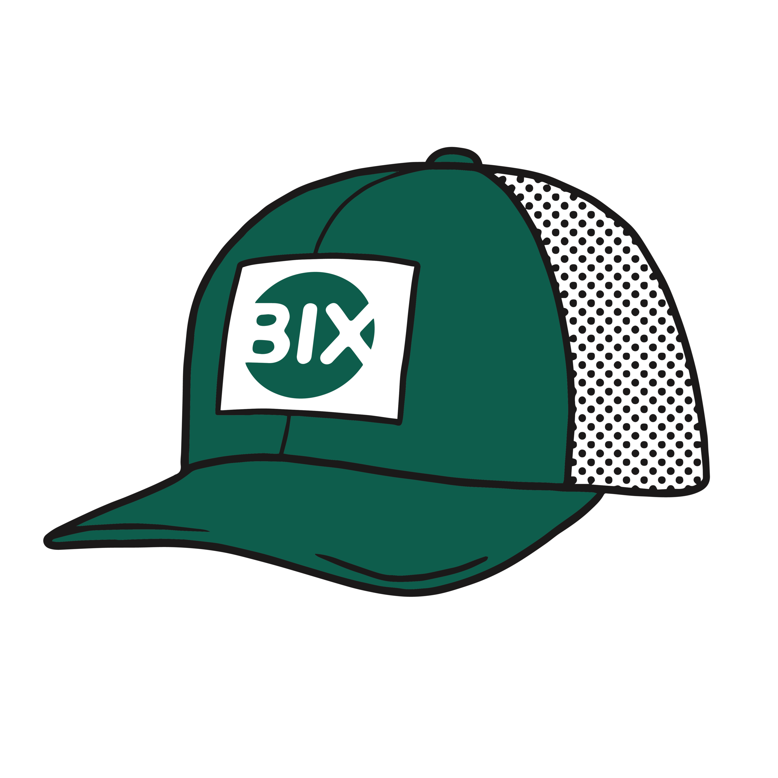 Bix_Stickers_Hat.png