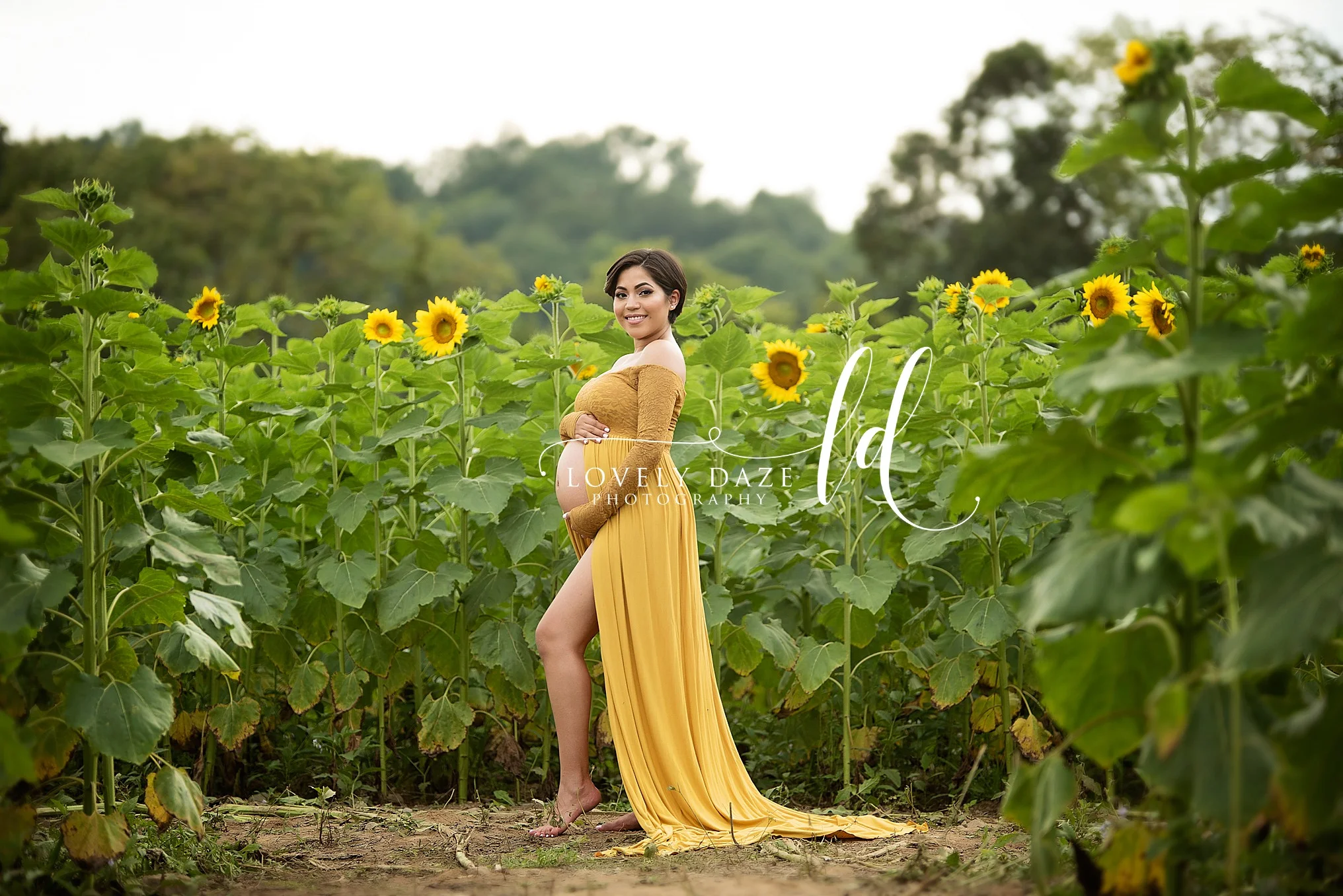 Nj Maternity Photographer Sunflower Field