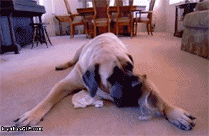 What attempts at social reform used to feel like