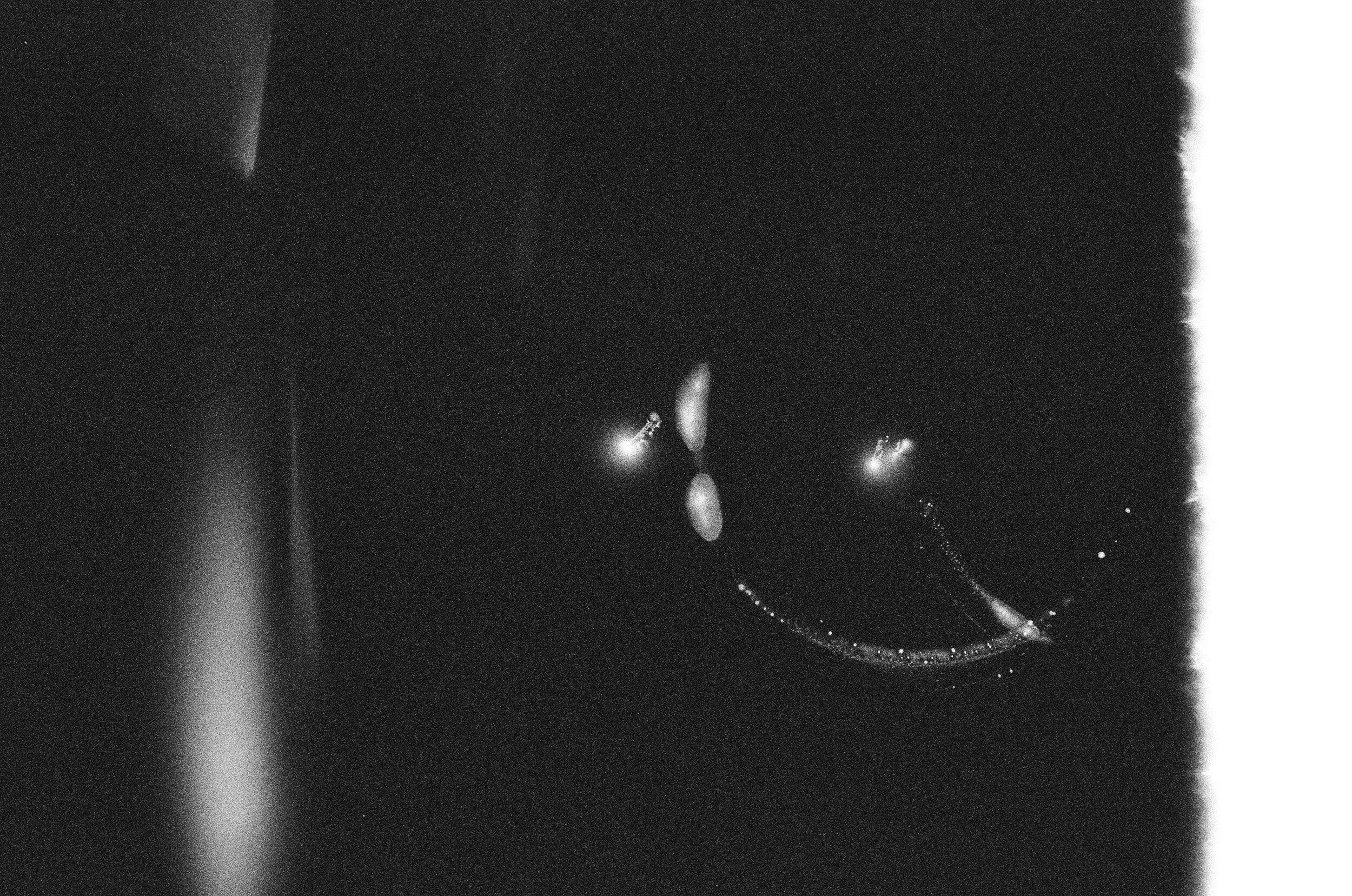 Photo May 21, 4 49 23 PM.jpg