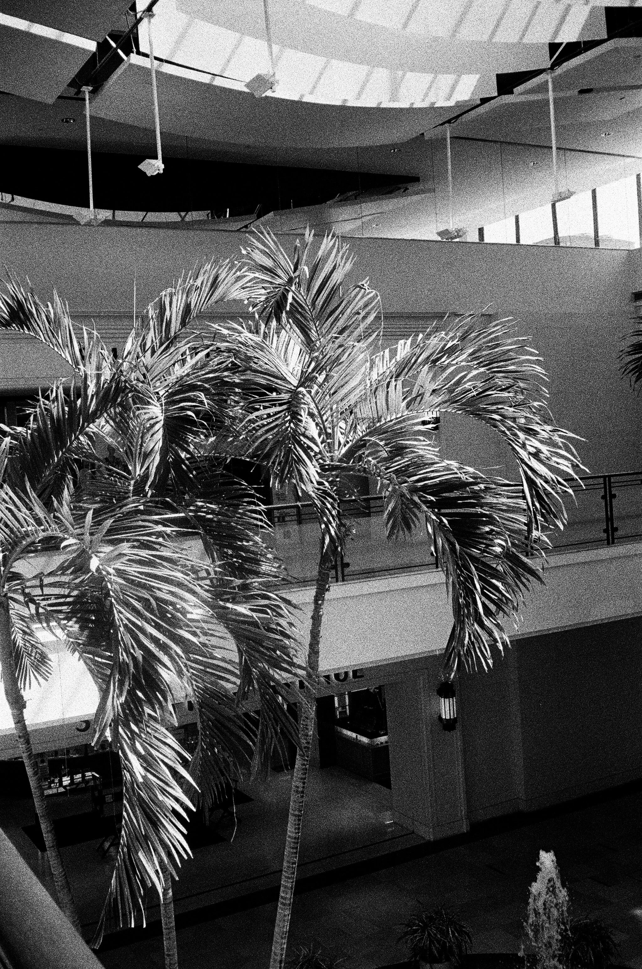 Photo Jun 29, 2 57 46 PM.jpg