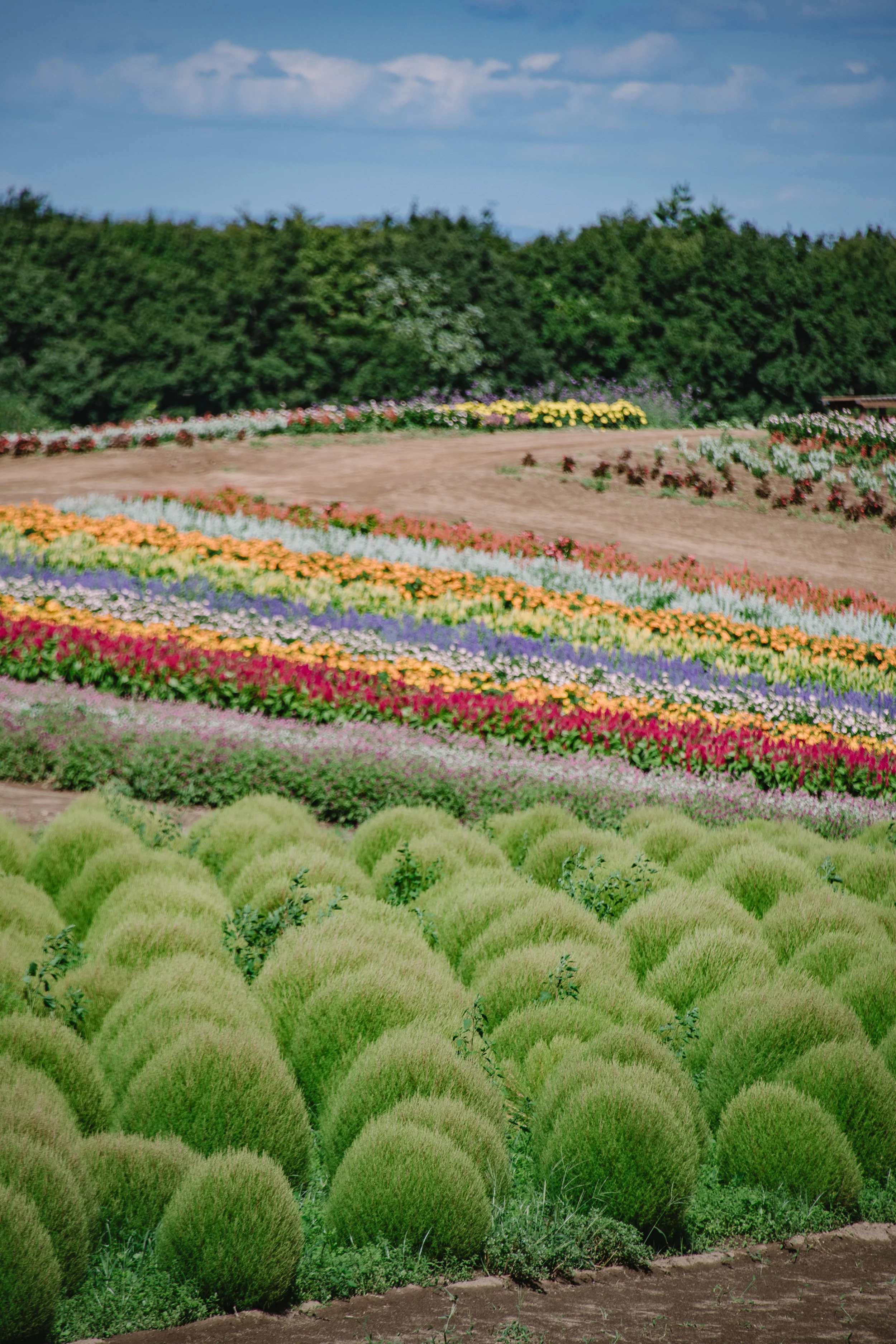 250809_Japan_197.jpg