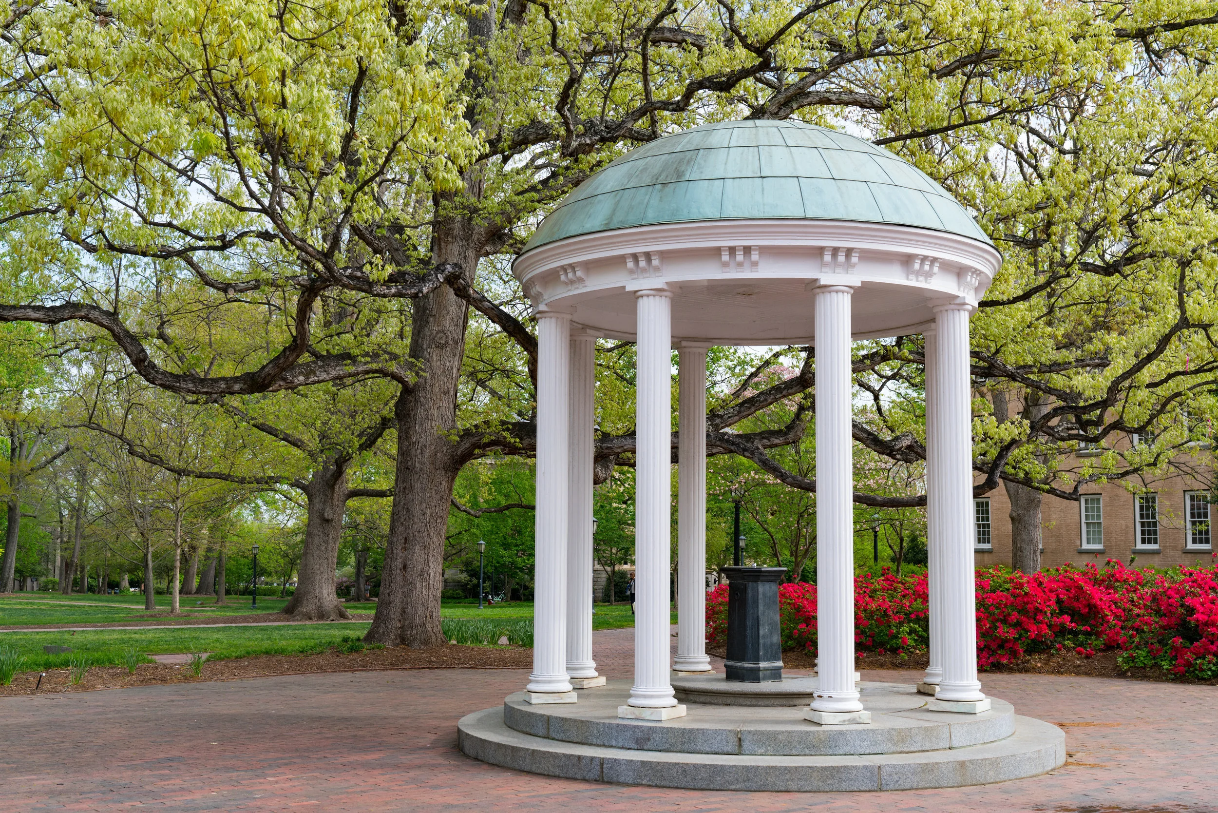 AdobeStock_208916360 copy 2.jpg